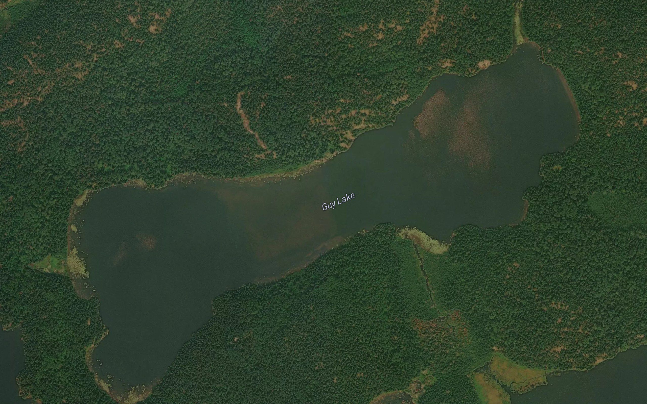Guy Lake