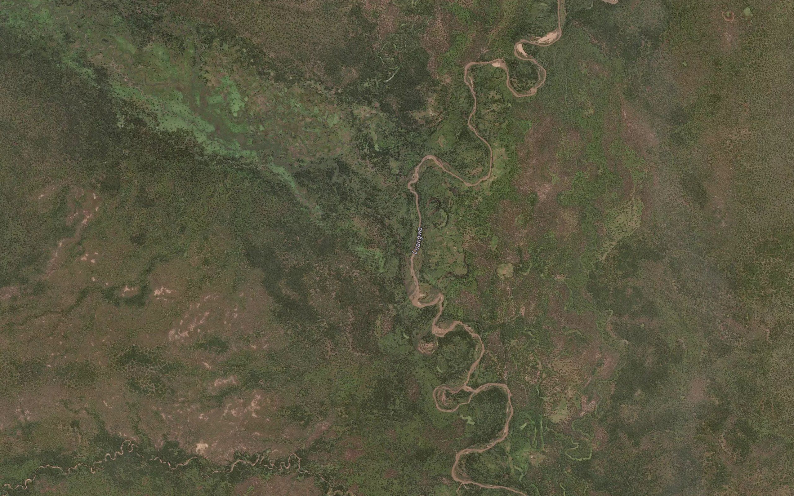 Mwambwa