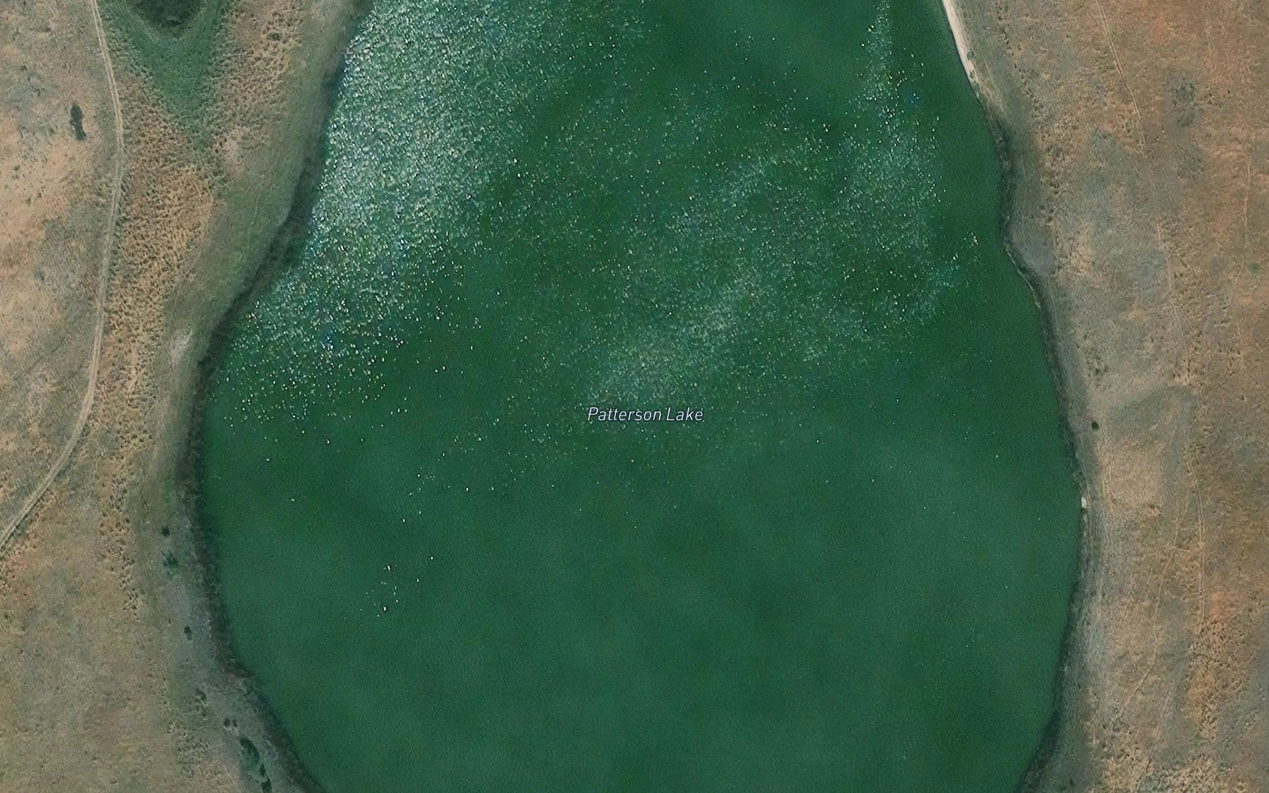 Satellite map of the Patterson Lake