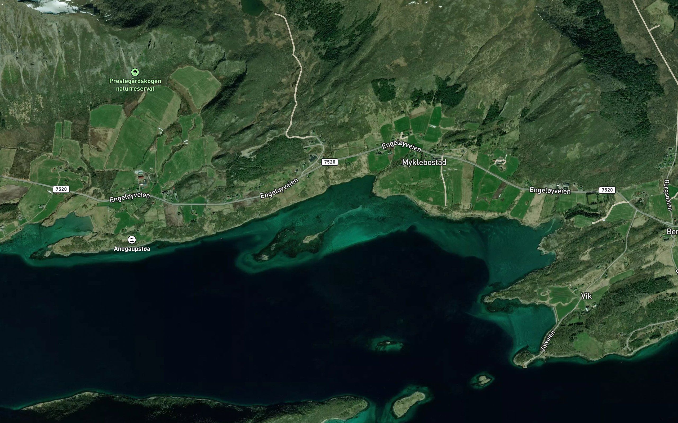 Mollskjea