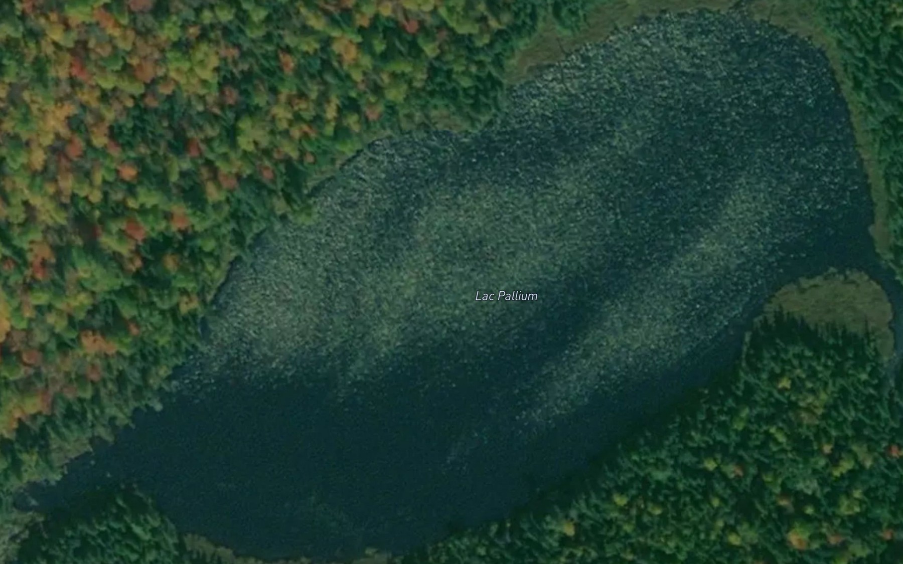 Satellite map of the Lac Pallium