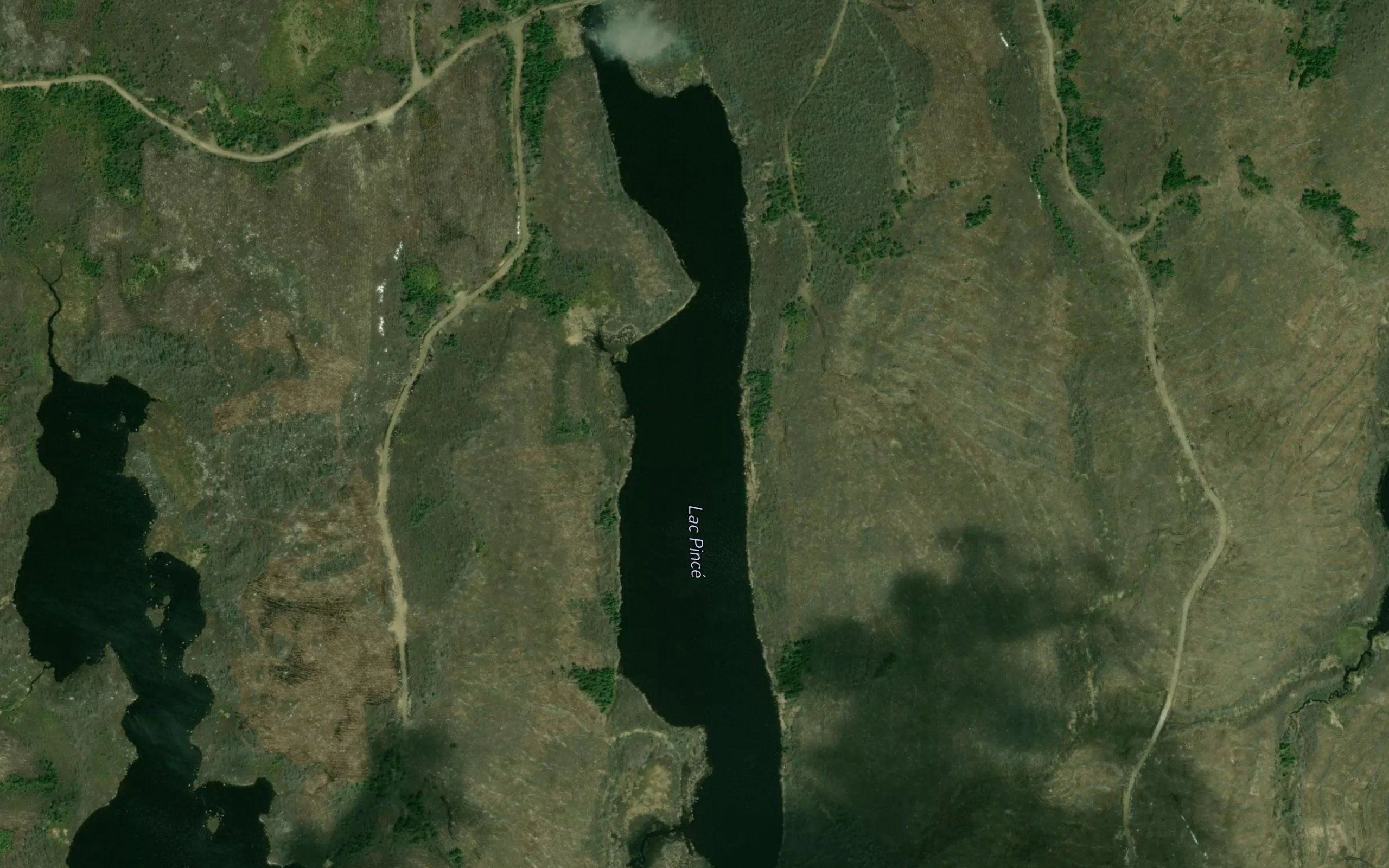 Lac Pince