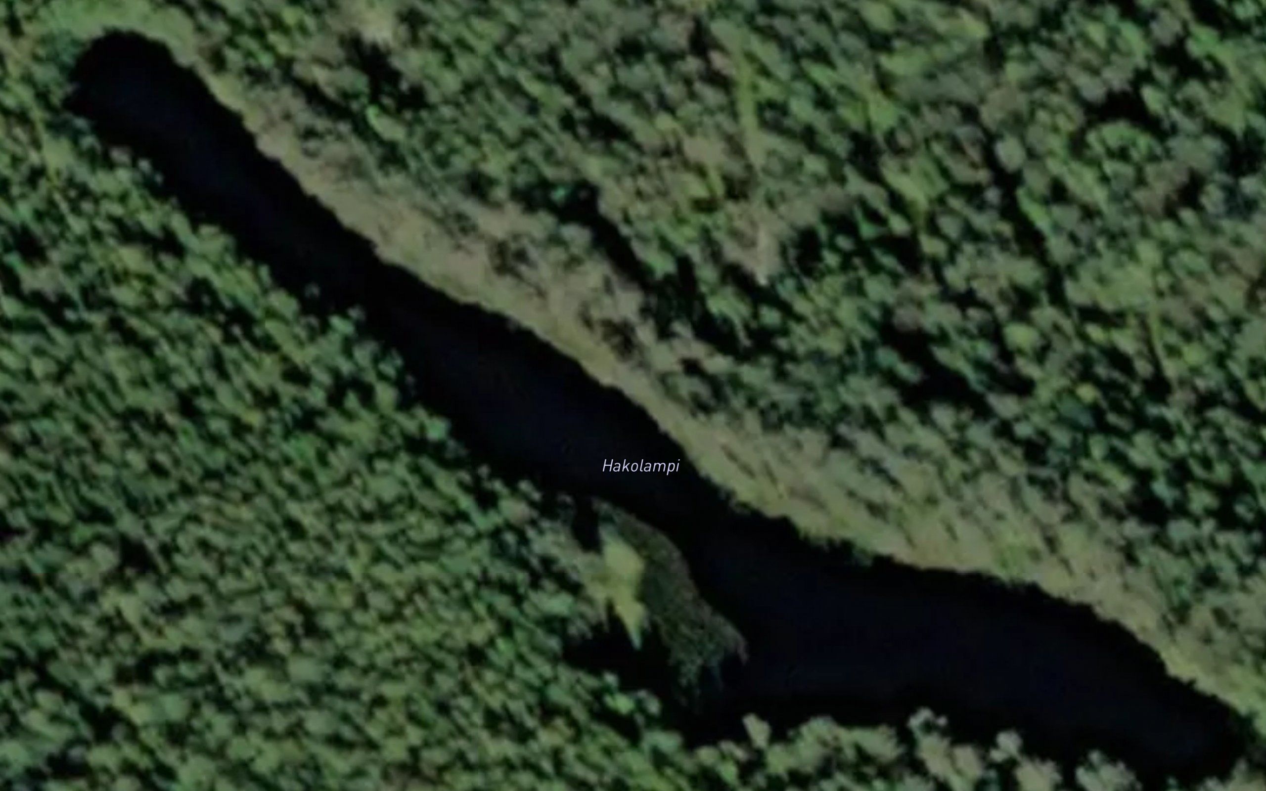 Hakolampi