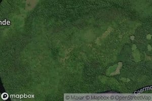 Boven Cottica Rivier