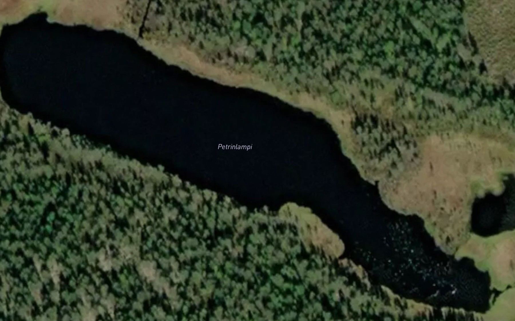 Satellite map of the Petrinlampi