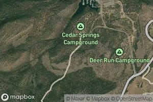 Cedar Spring