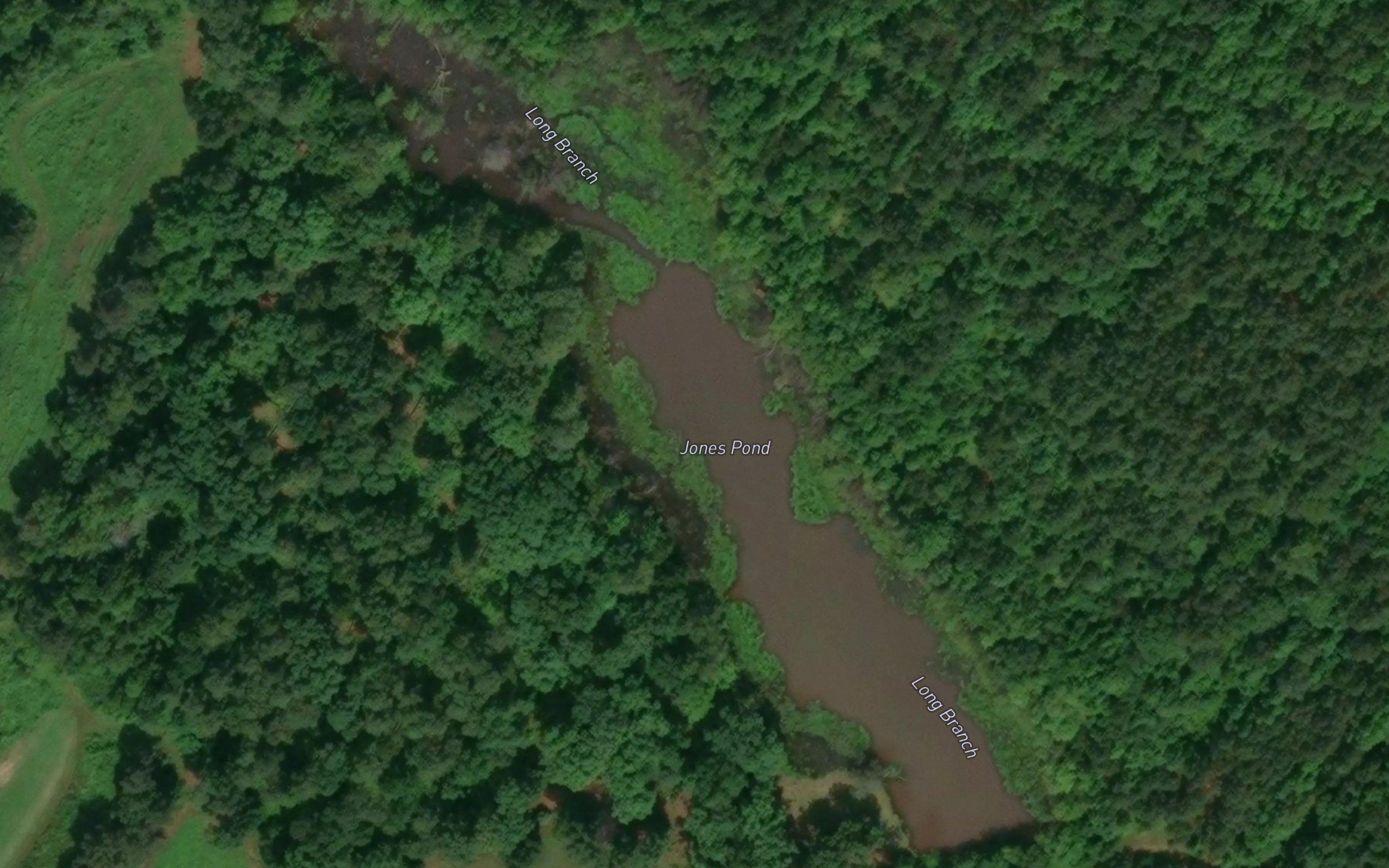 Jones Pond