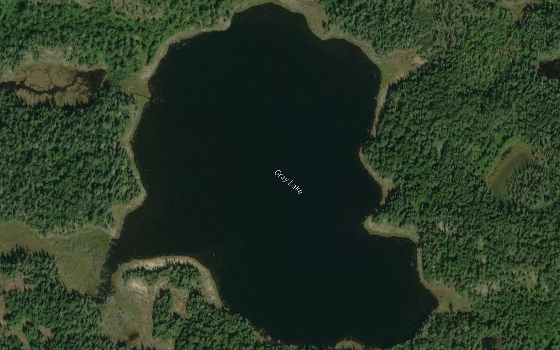 Satellite map of the Gray Lake