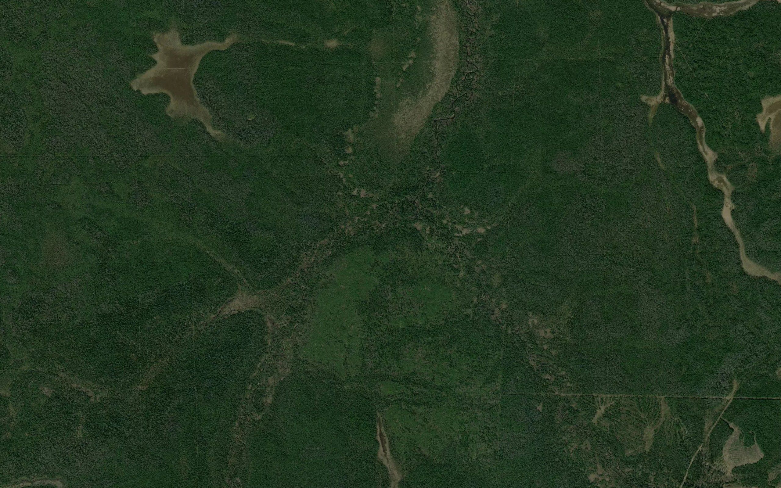 Lesnaya