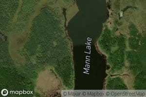 Mann Lake