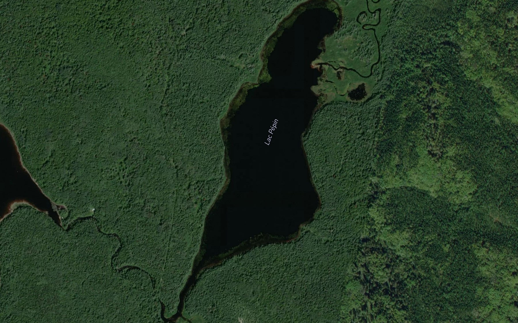 Satellite map of the Lac Pepin