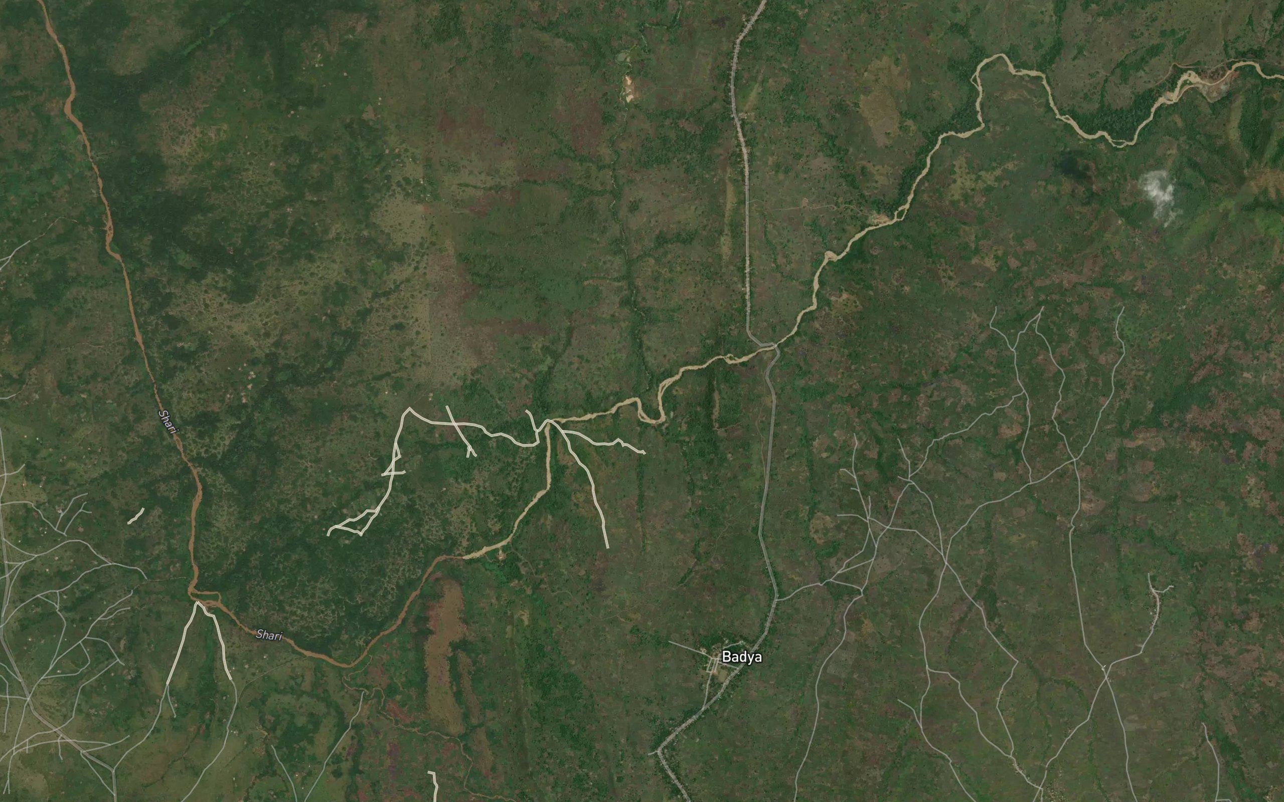Tongaliwa