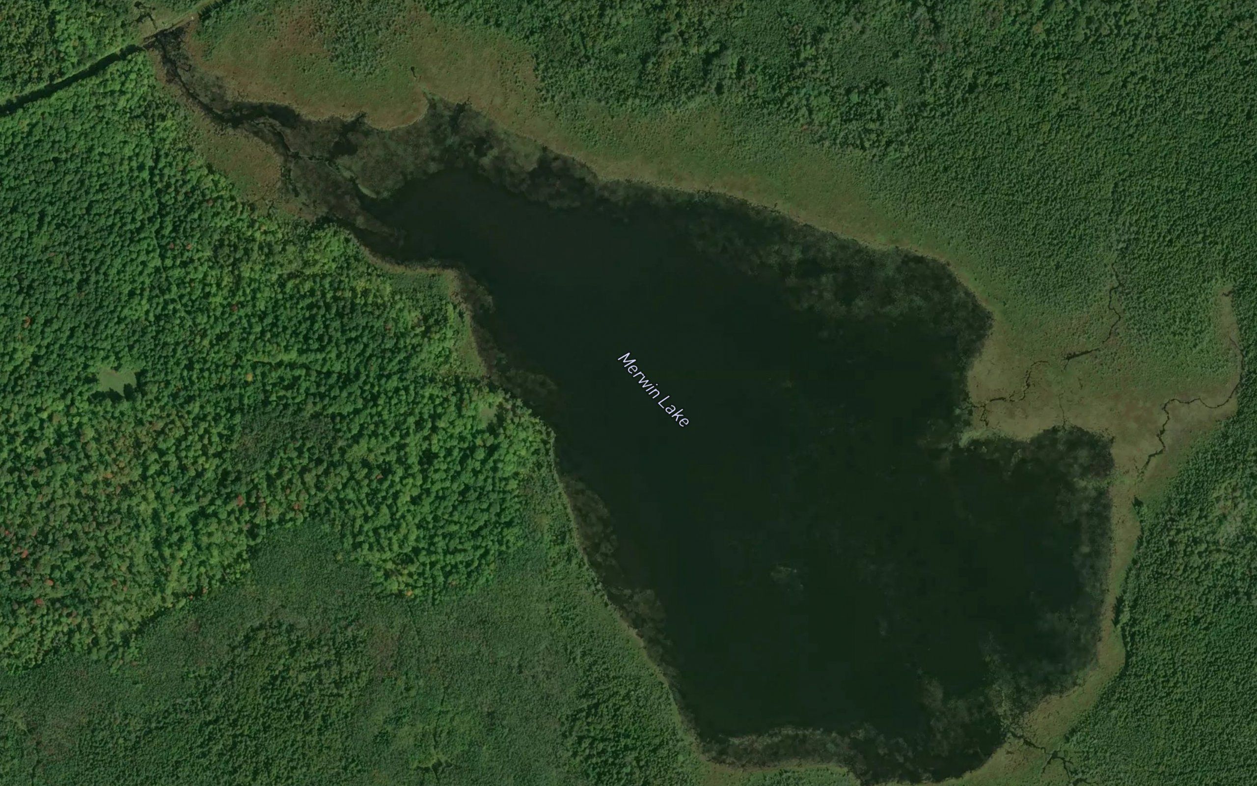 Merwin Lake