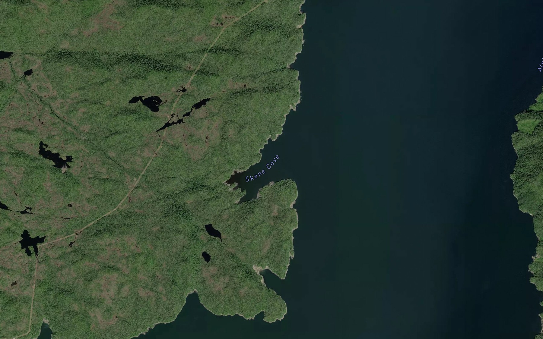 Satellite map of the Skene Cove