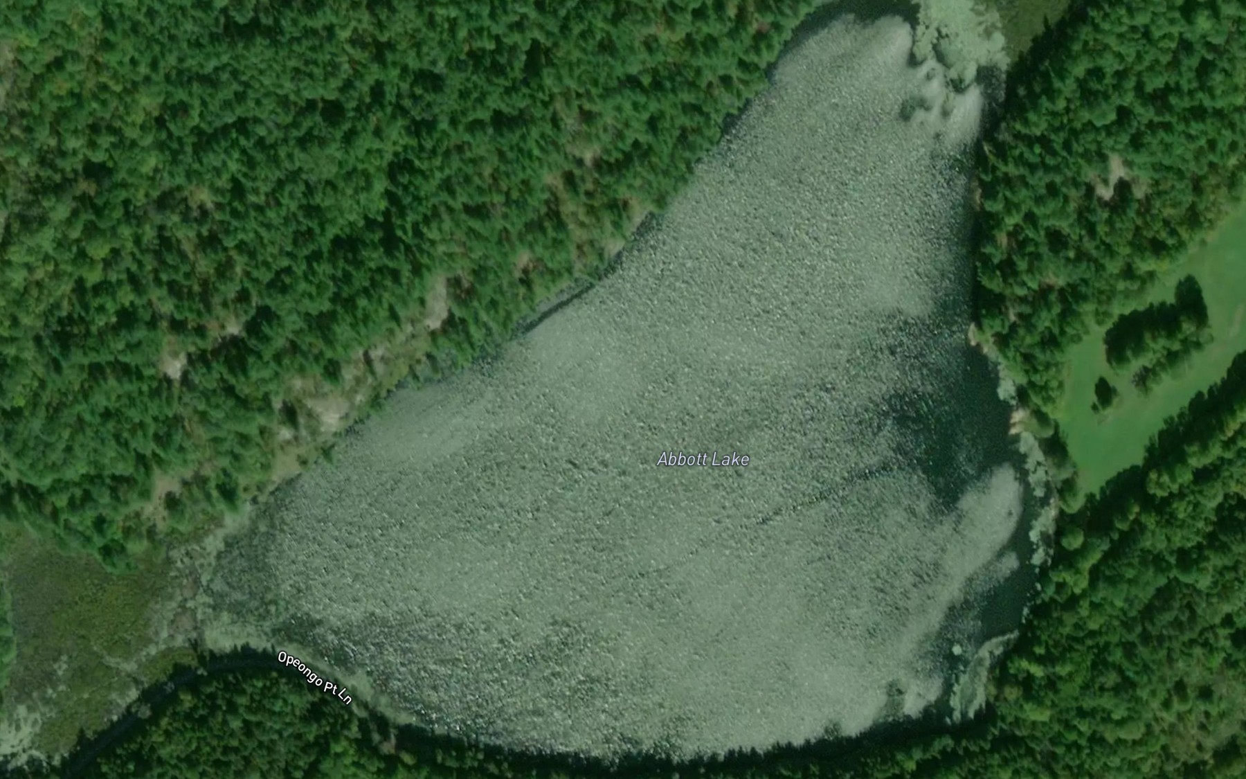Satellite map of the Abbott Lake