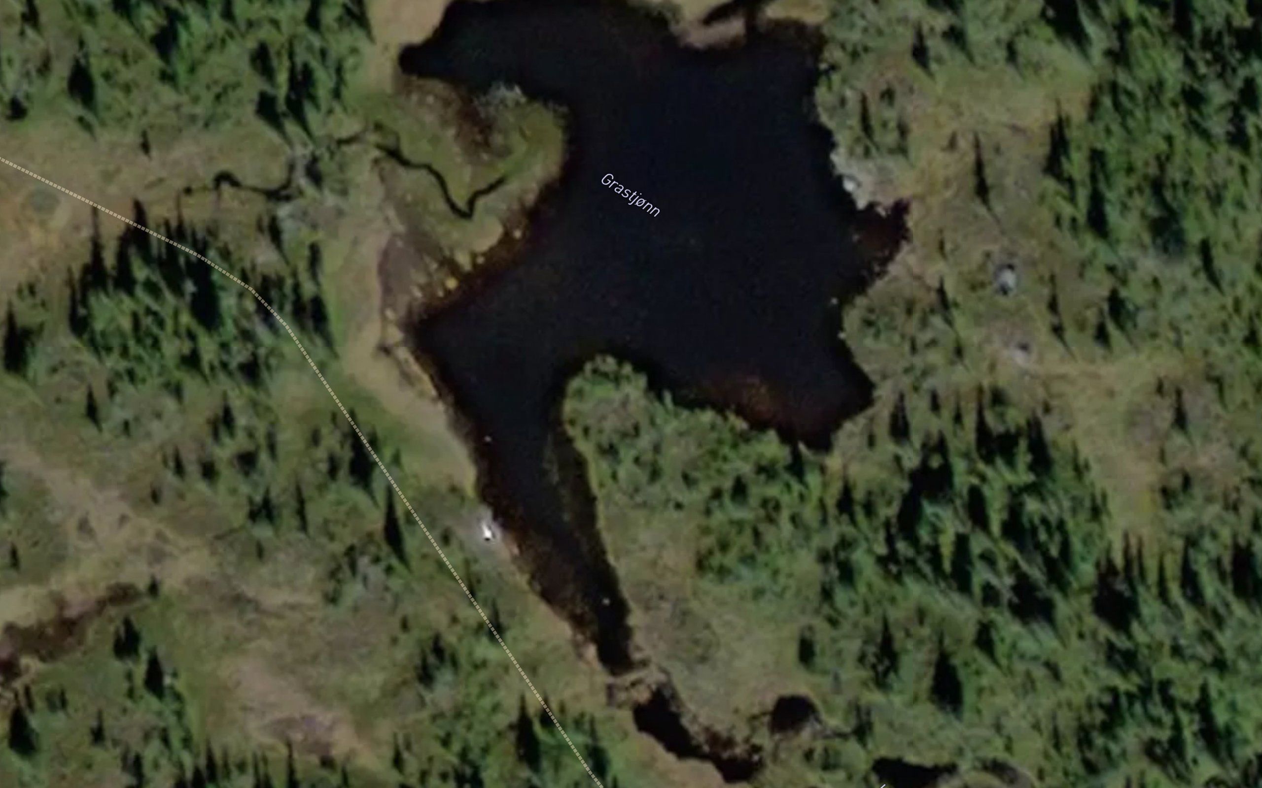 Grastjorn