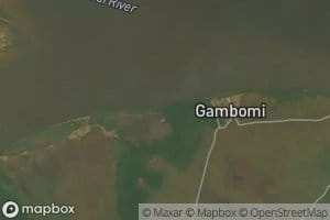 Engambo