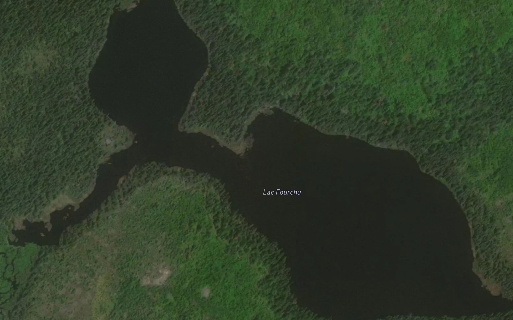 Satellite map of the Lac Fourchu