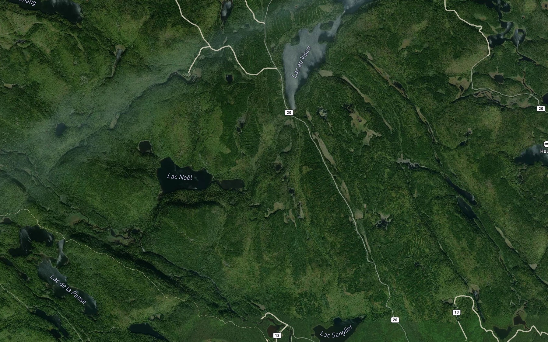 Satellite map of the Lac des Lys