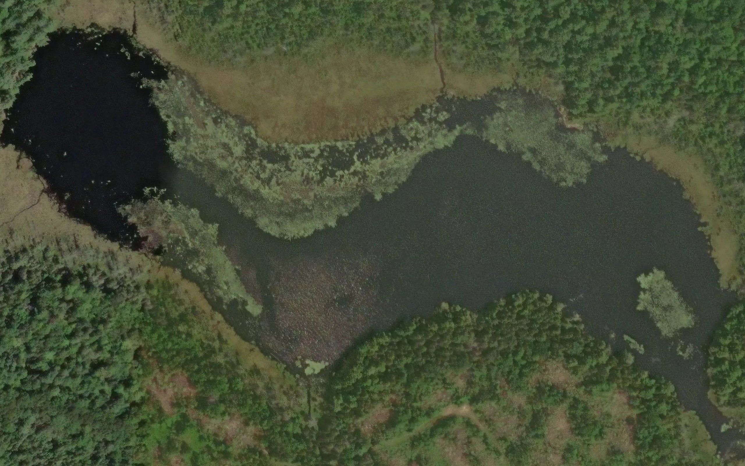 Section Thirteen Lake