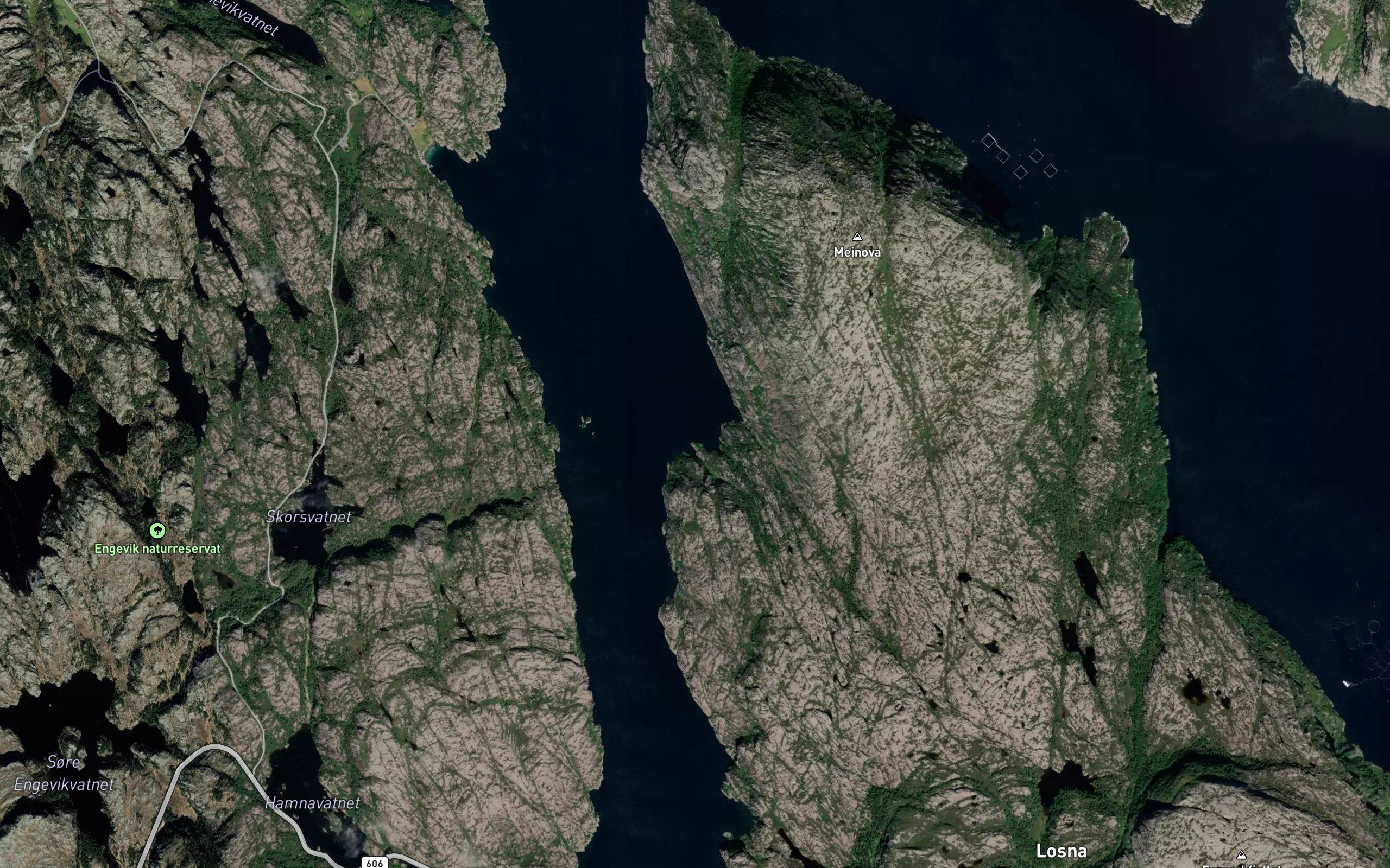 Seljeskorvikane