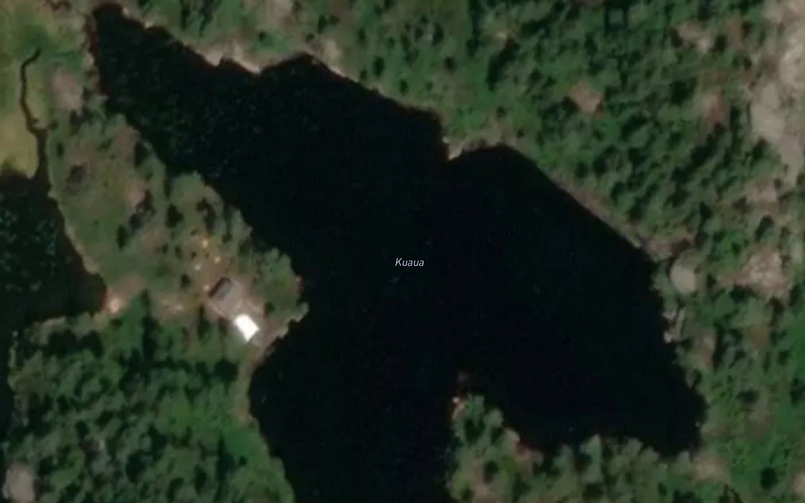 Kuaua