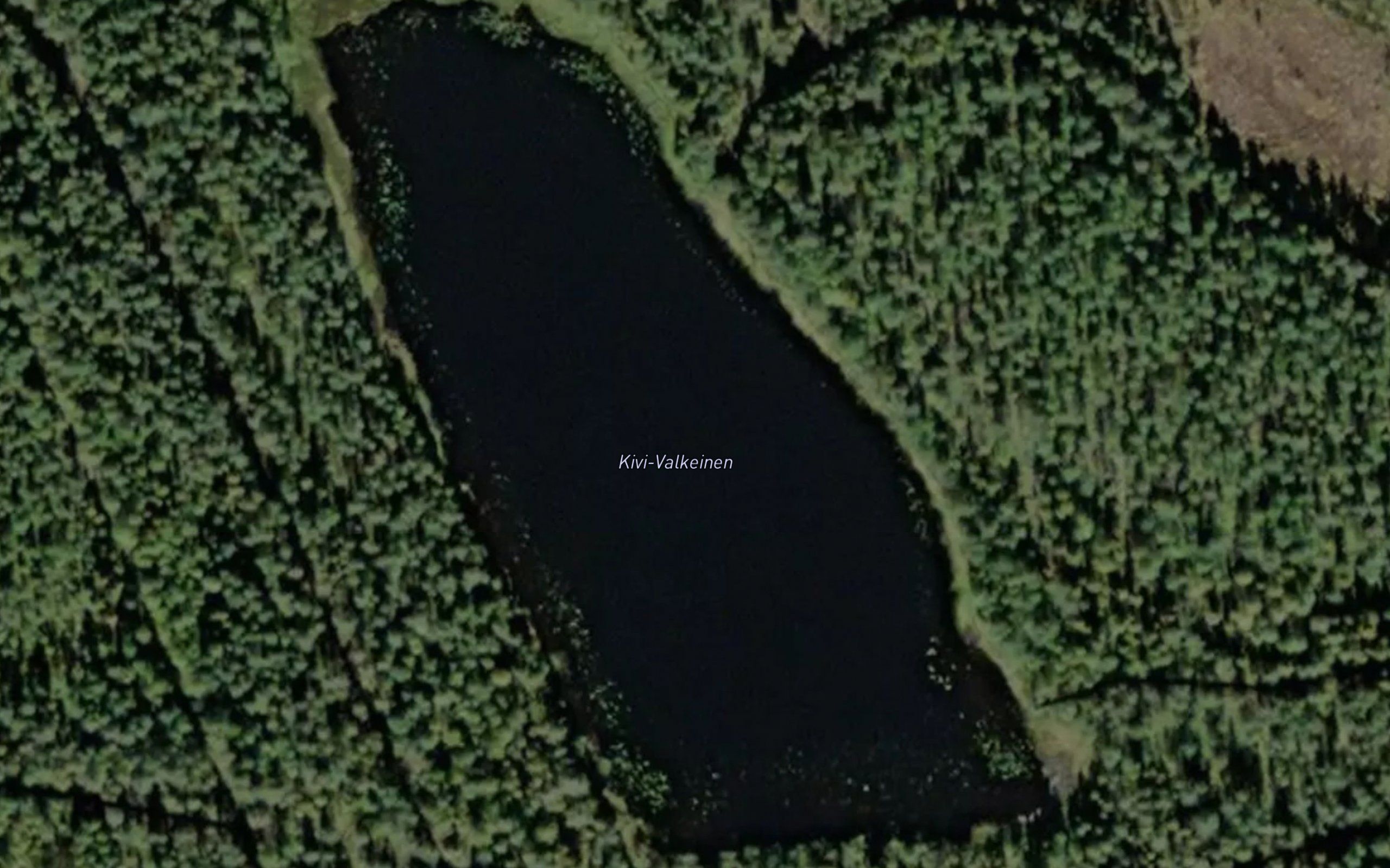 Kivi-Valkeinen