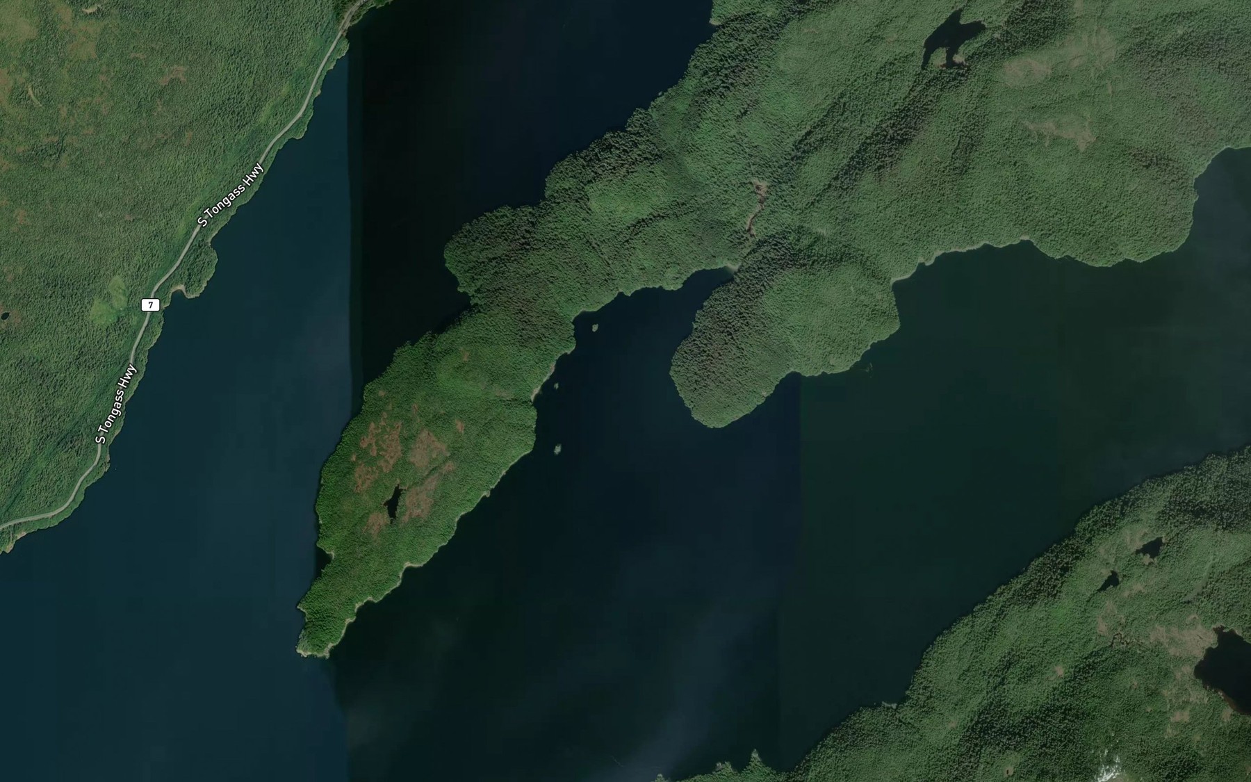 Satellite map of the California Cove