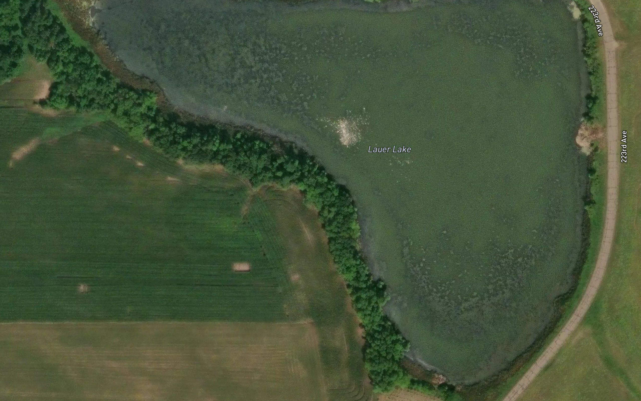Lauer Lake