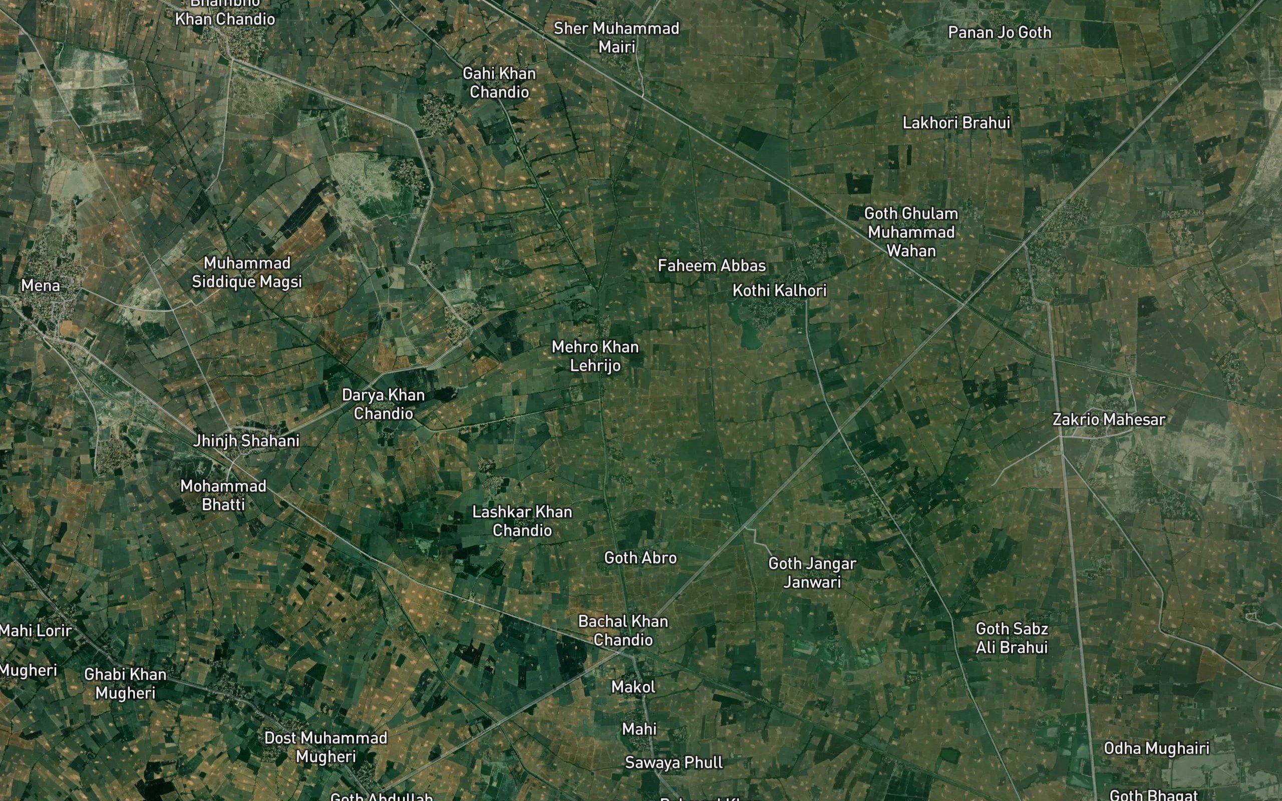 Chandia Minor