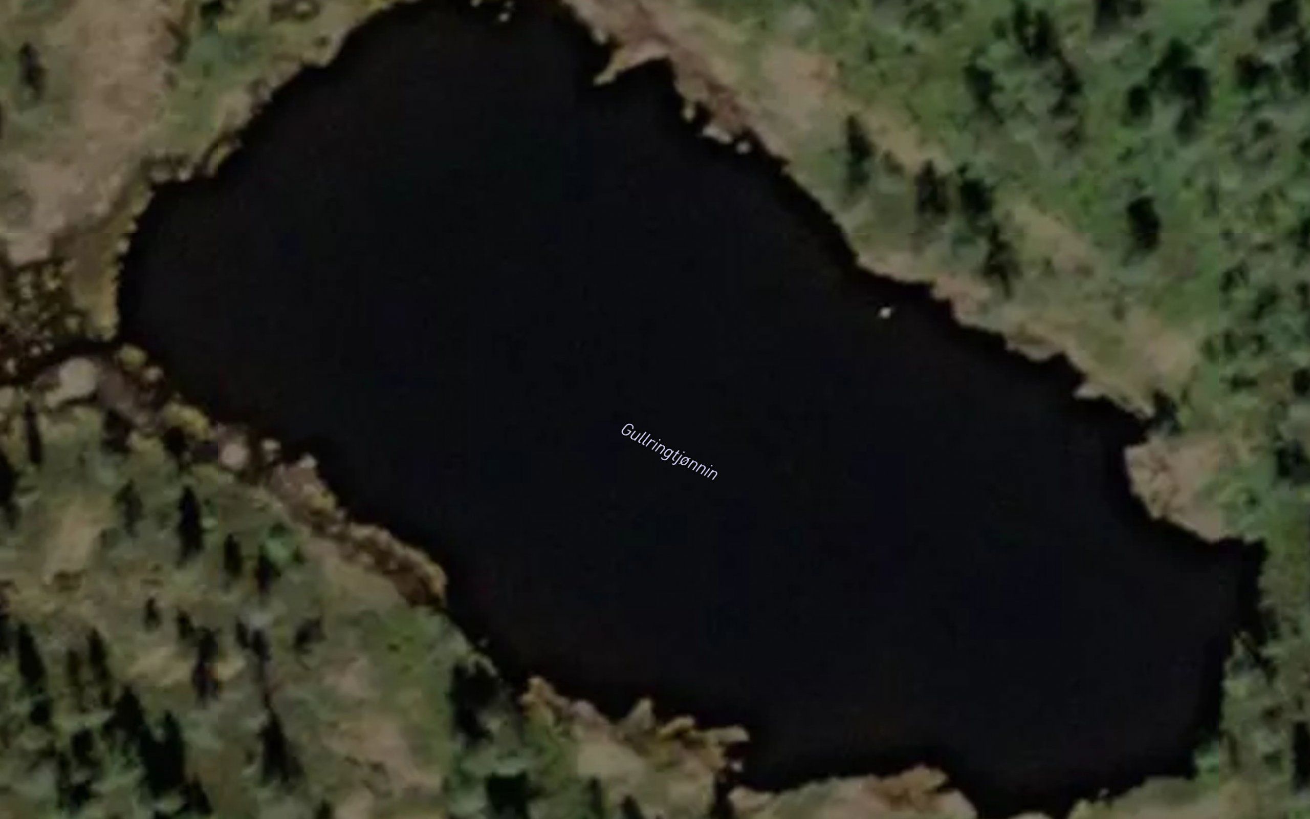 Gullringtjorn