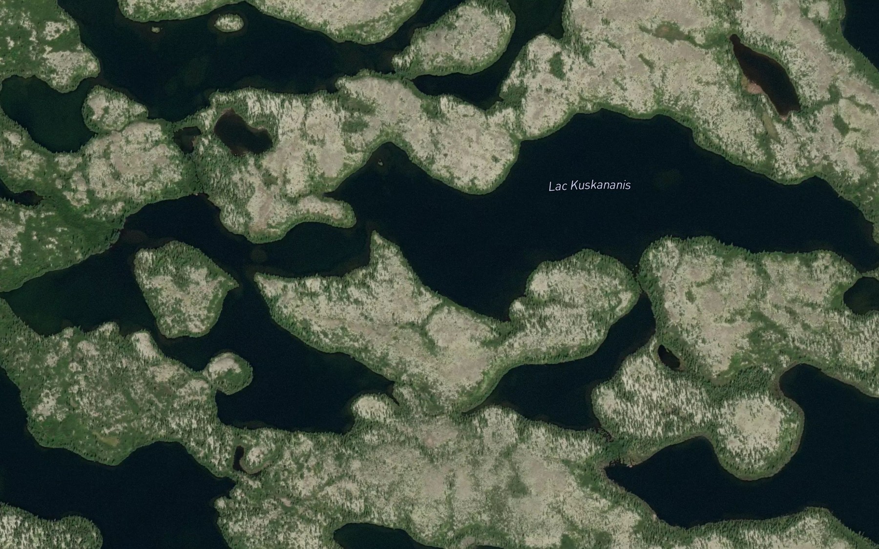 Satellite map of the Lac Kuskananis