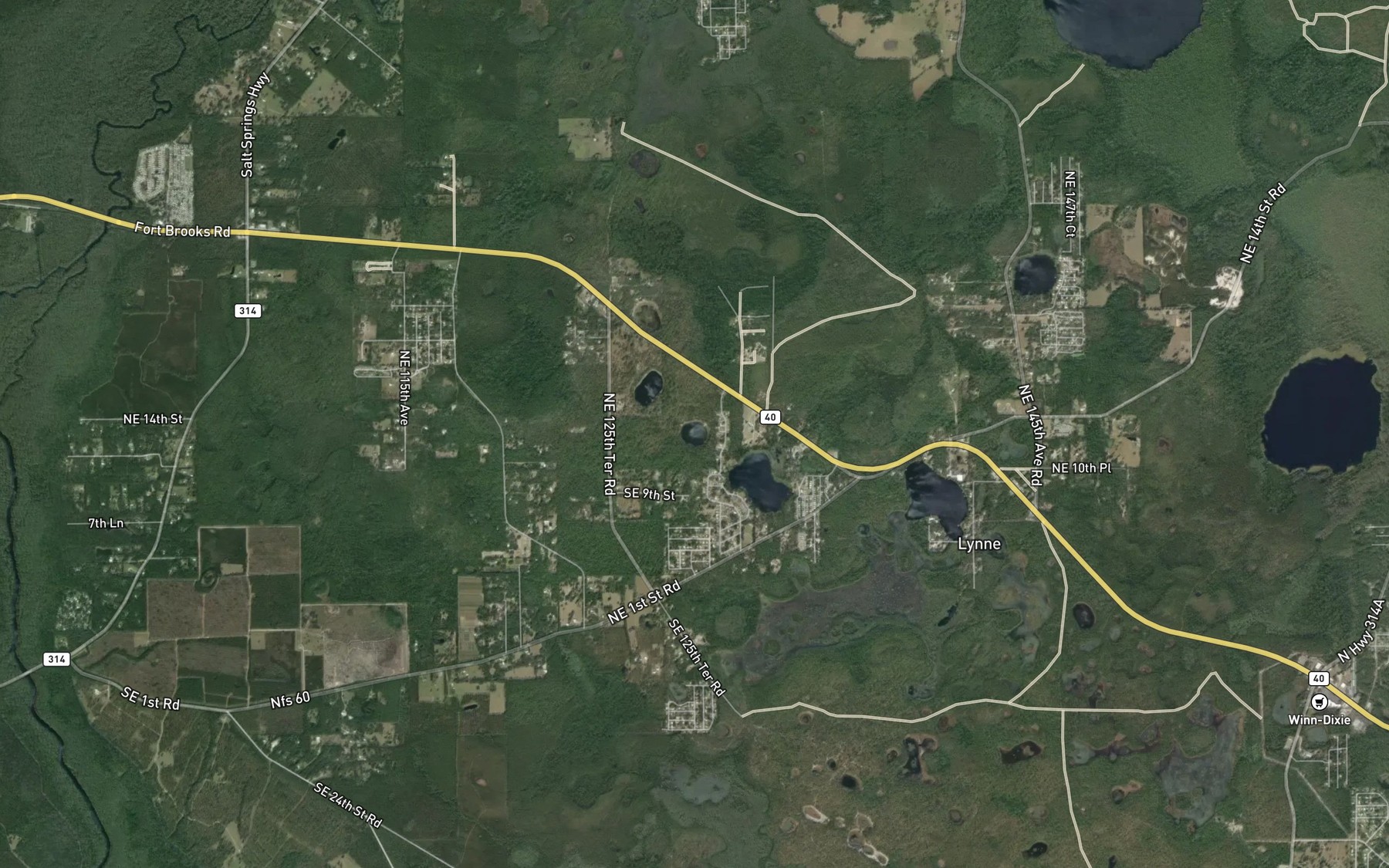 Satellite map of the Bream Lake