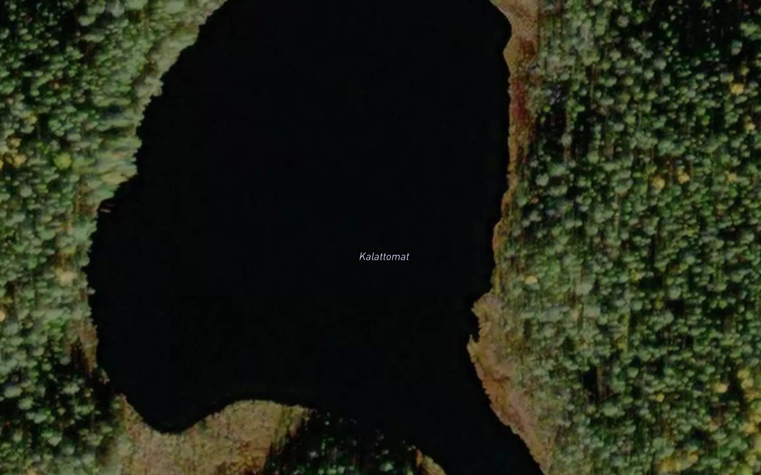 Kalattomat