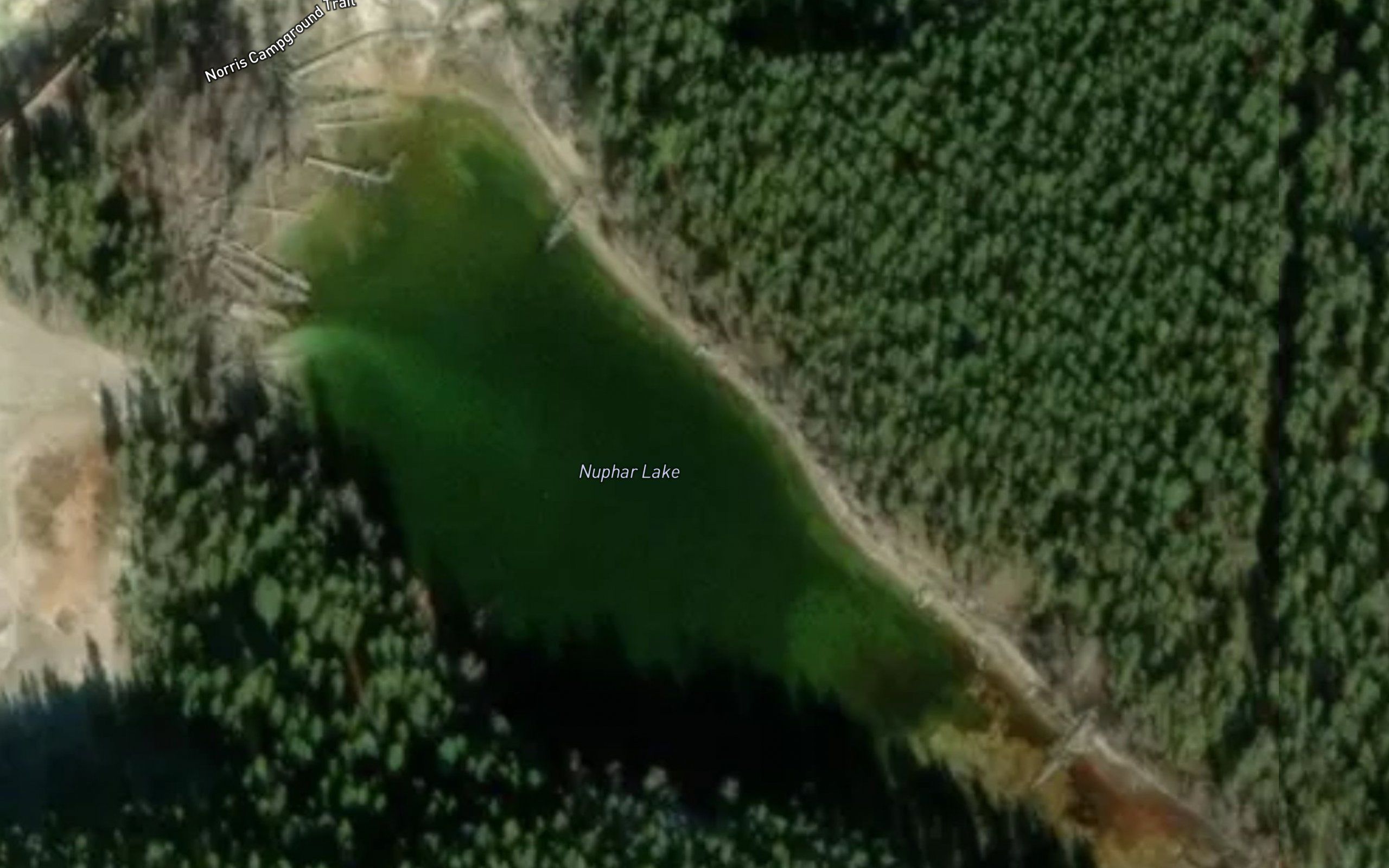 Nuphar Lake