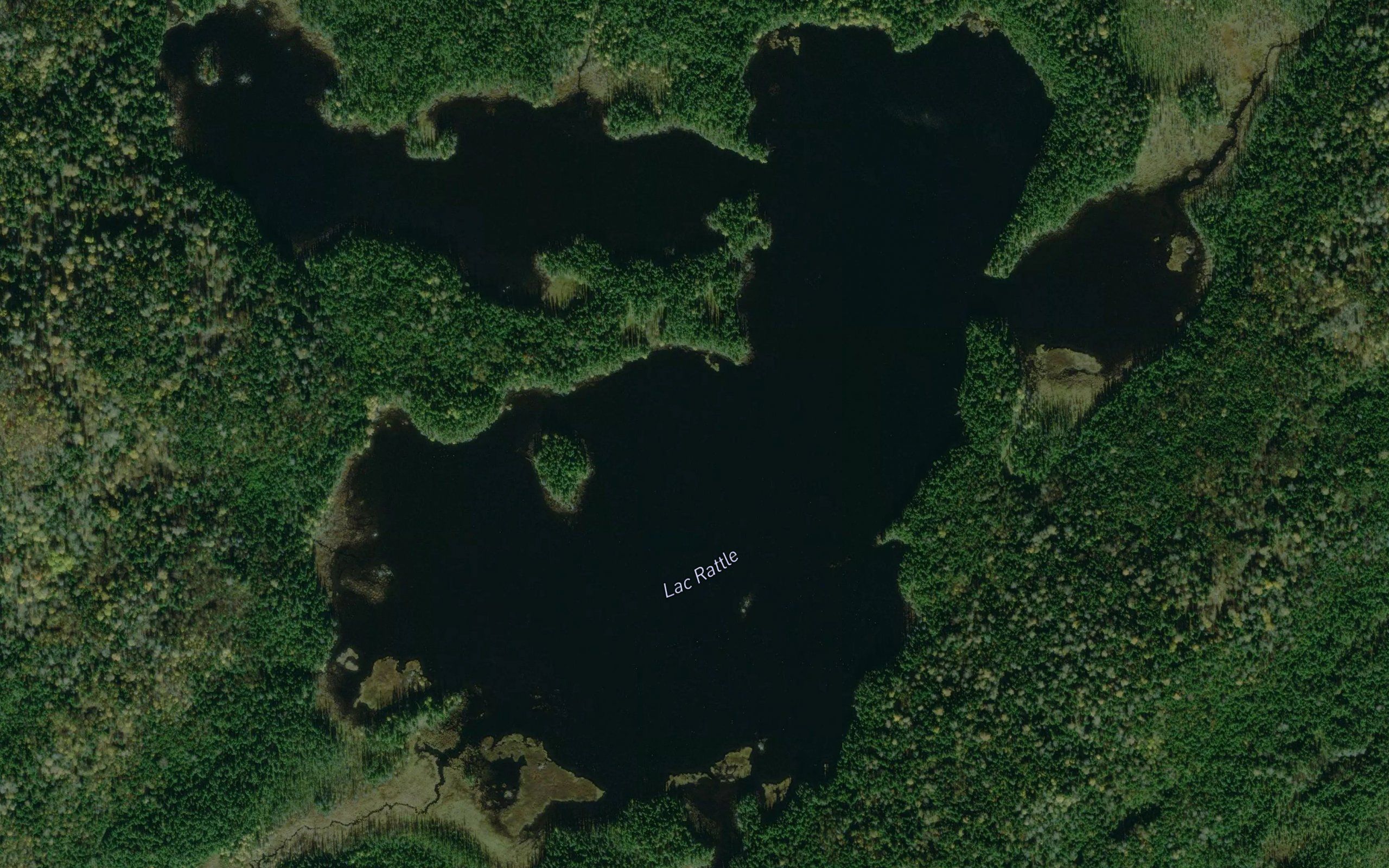 Lac Rattle