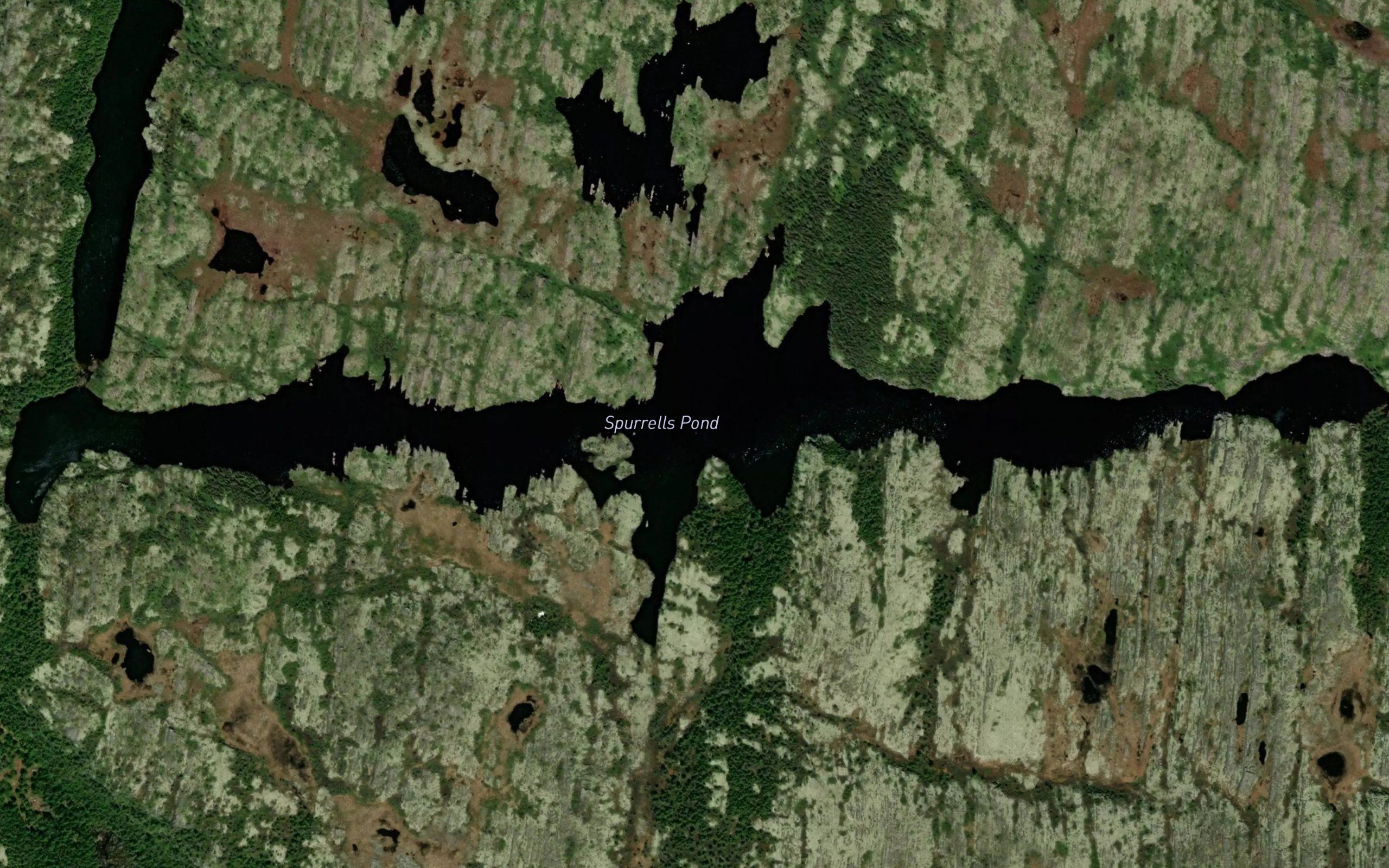 Spurrells Pond