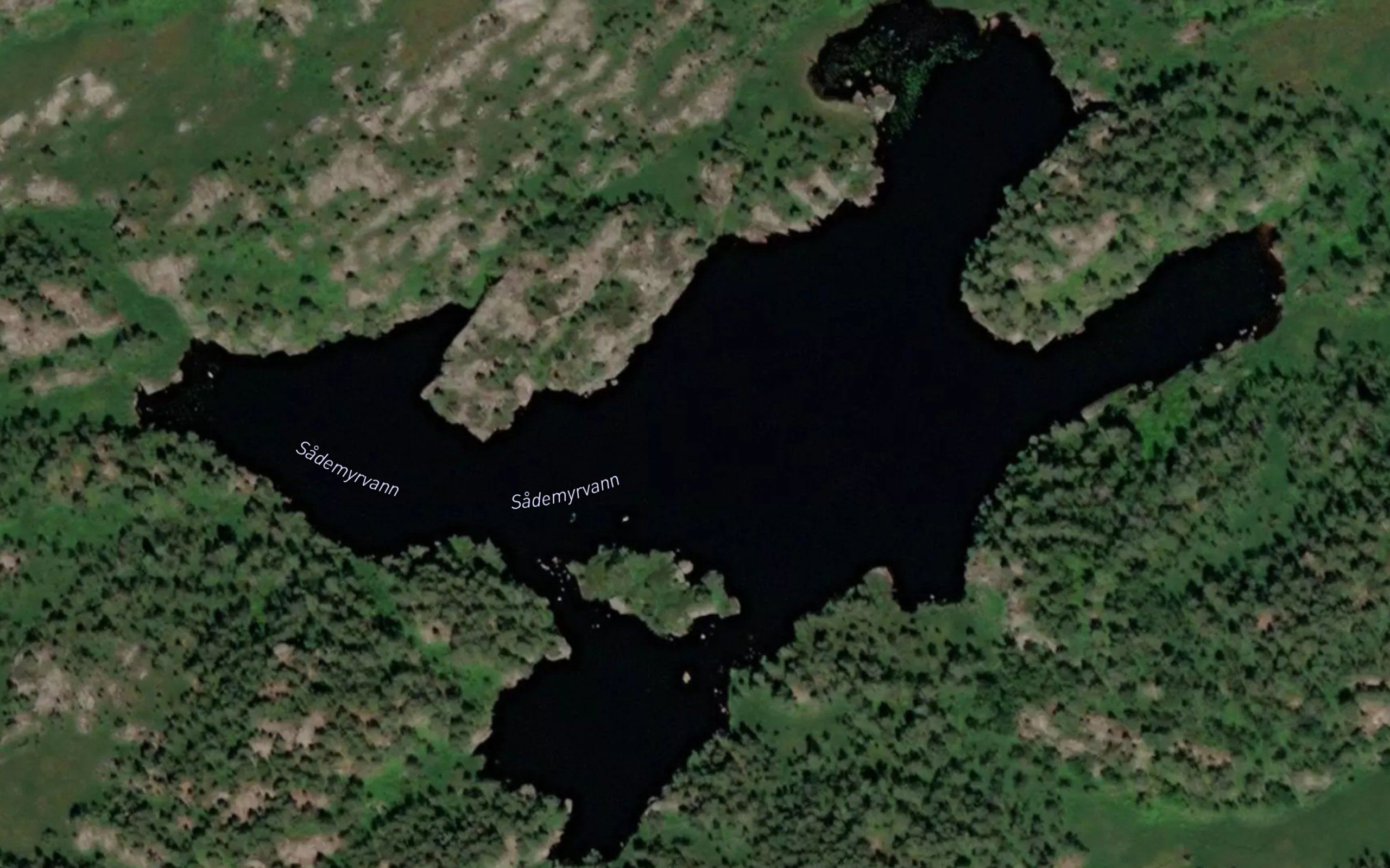 Sademyrvann