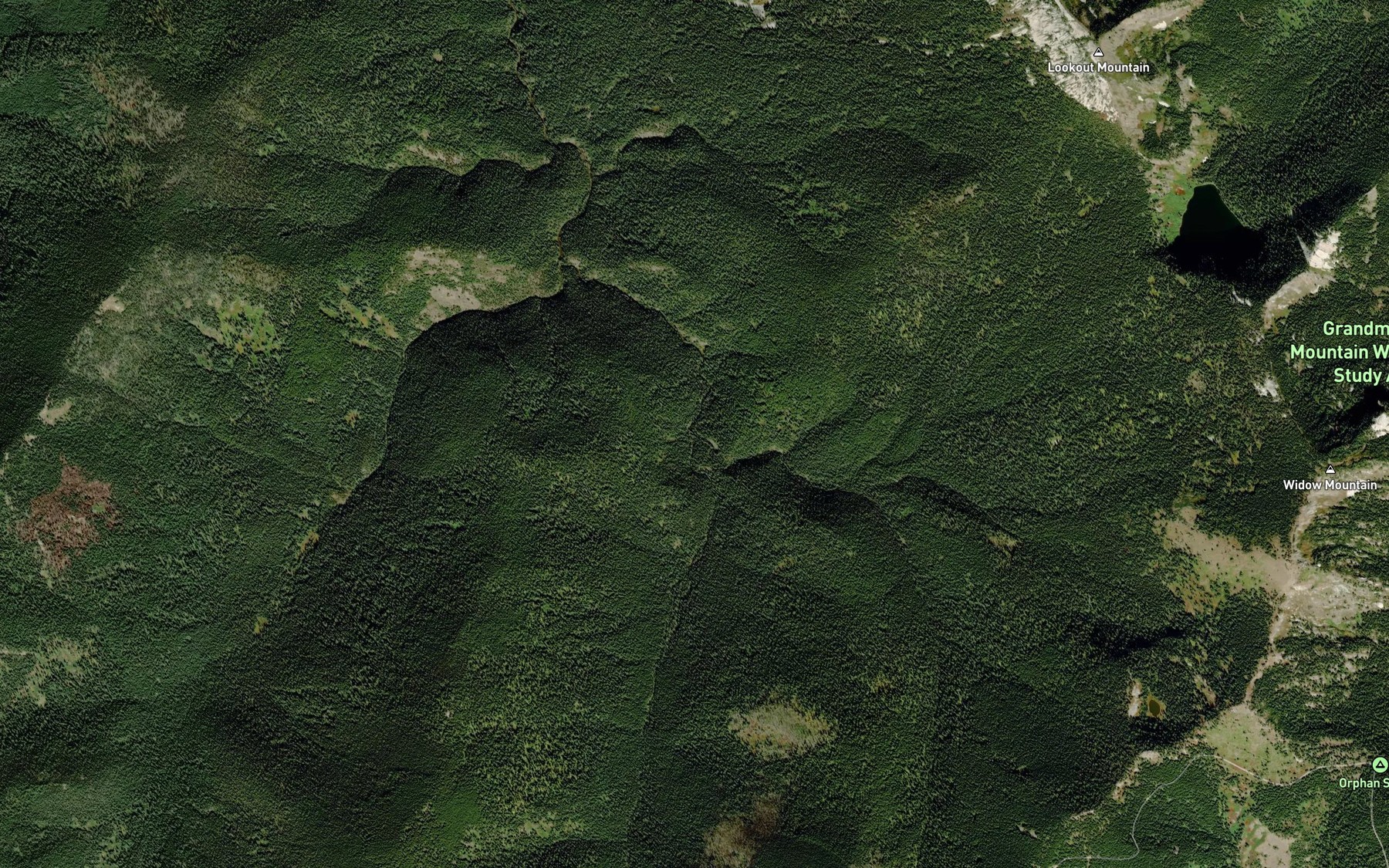 Satellite map of the Delaney Creek