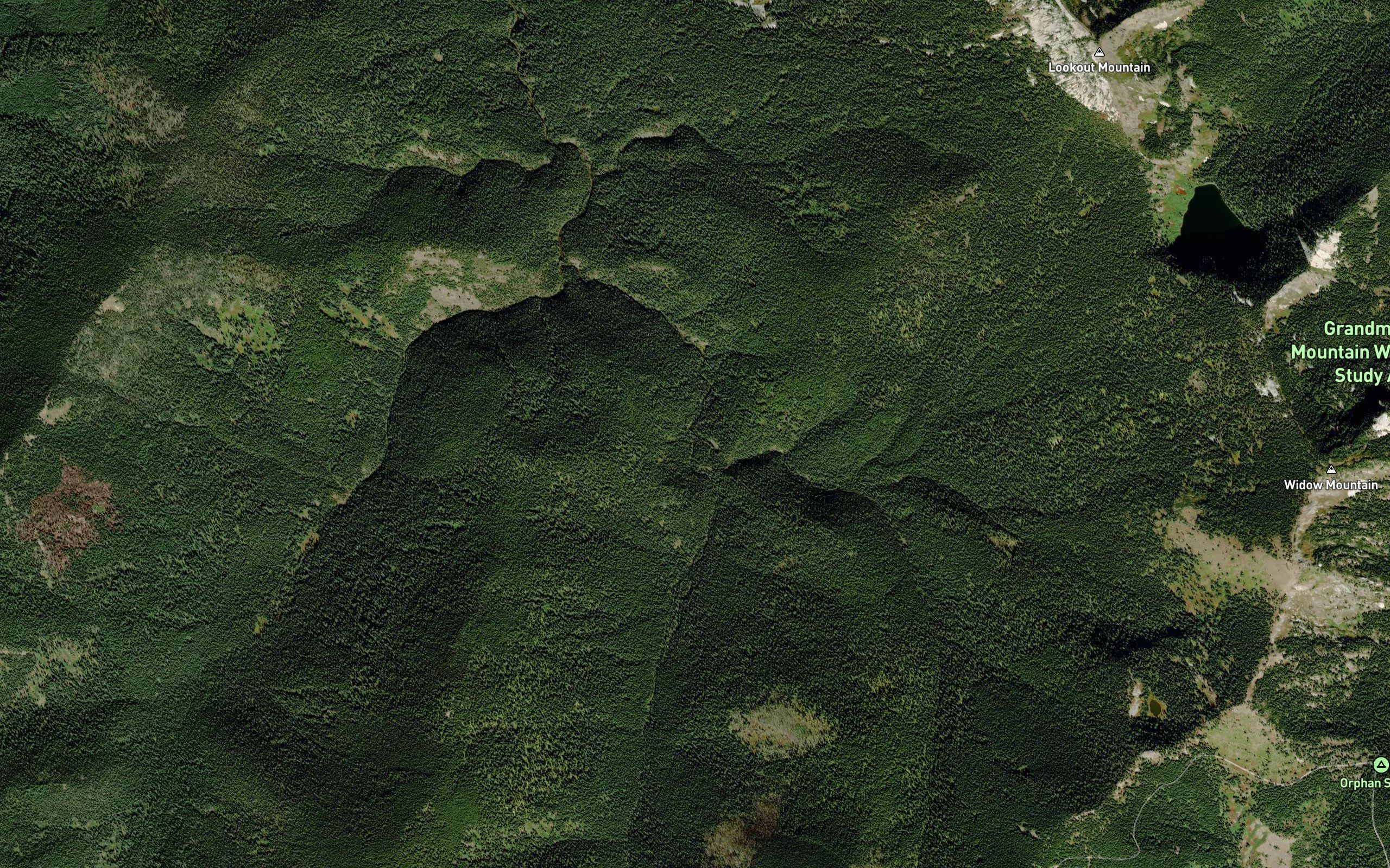 Delaney Creek