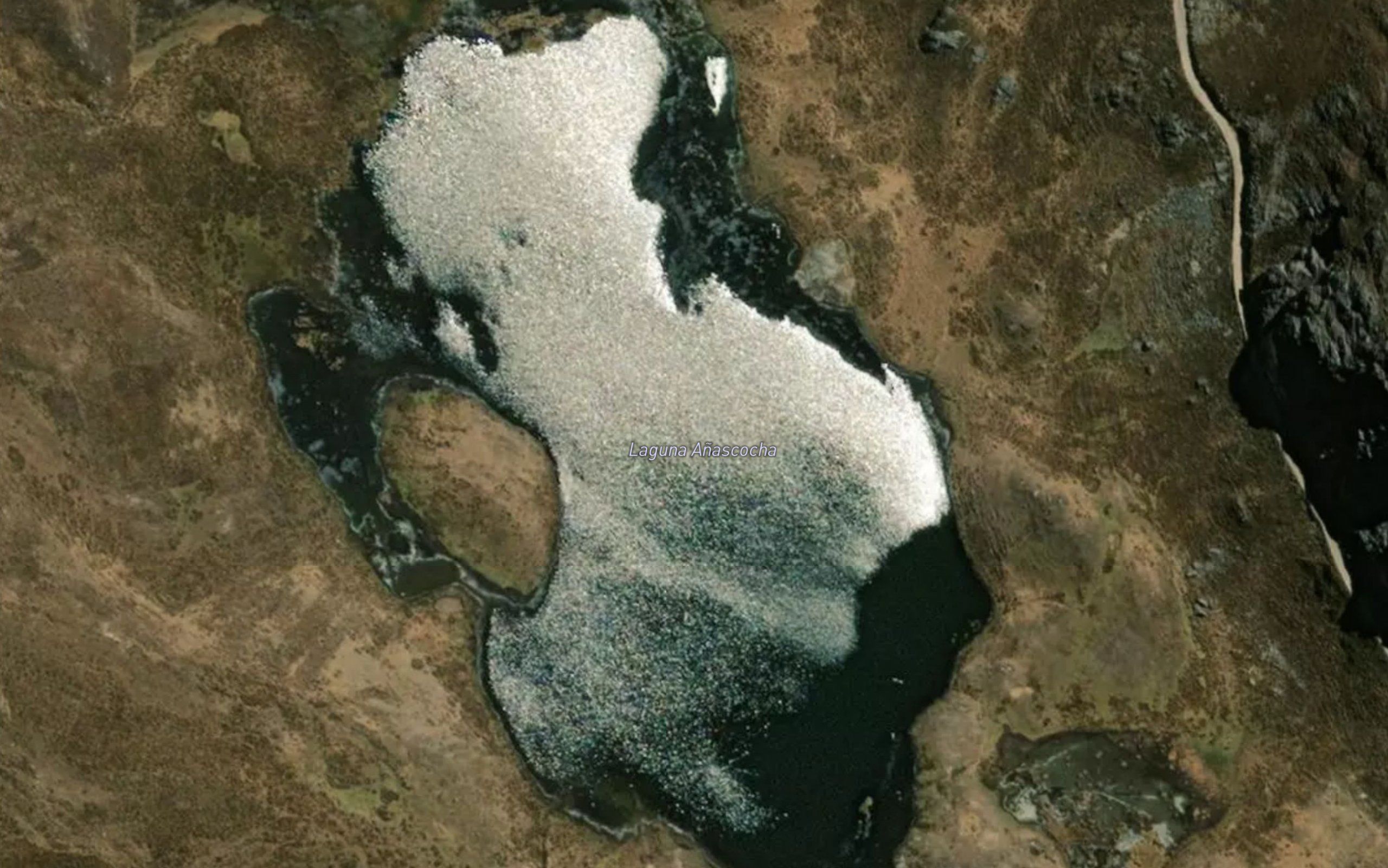 Laguna Anascocha