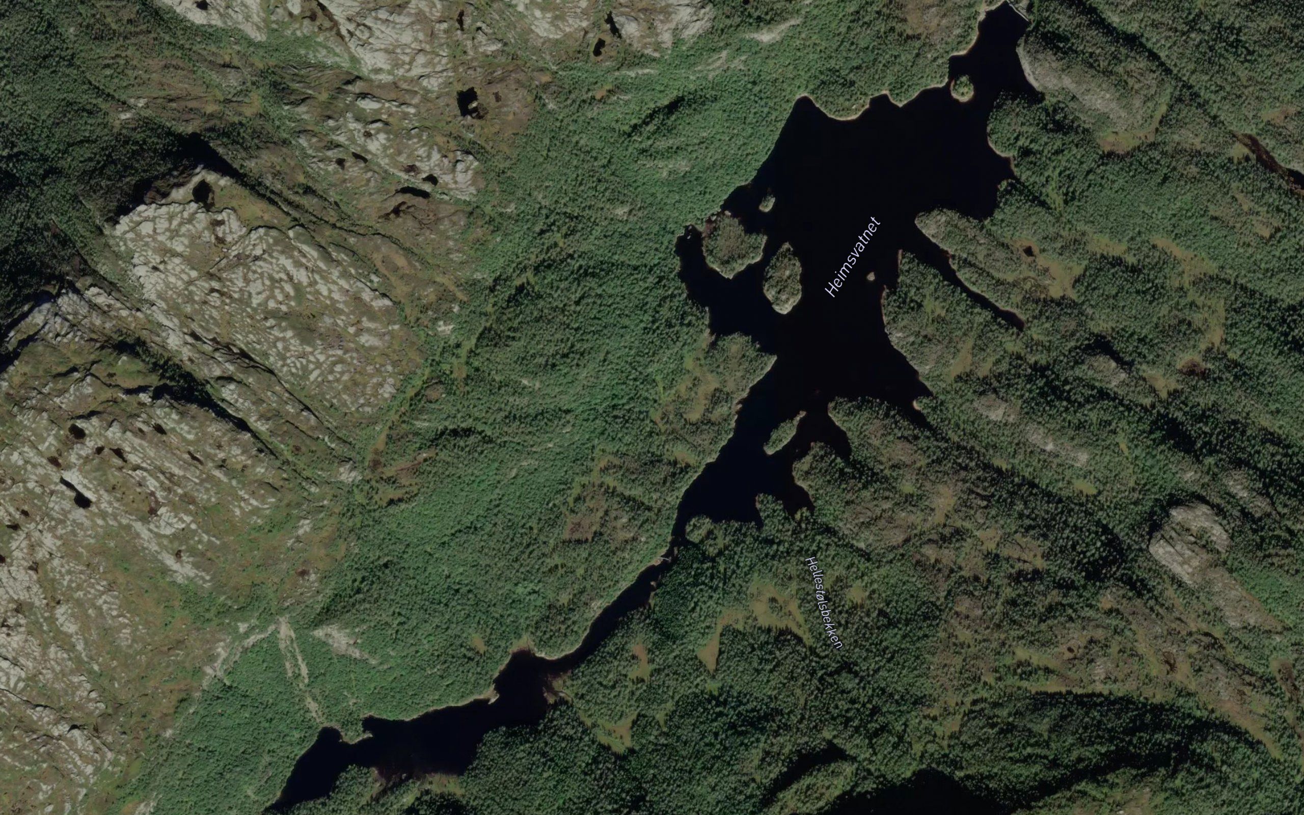 Heimsvatnet
