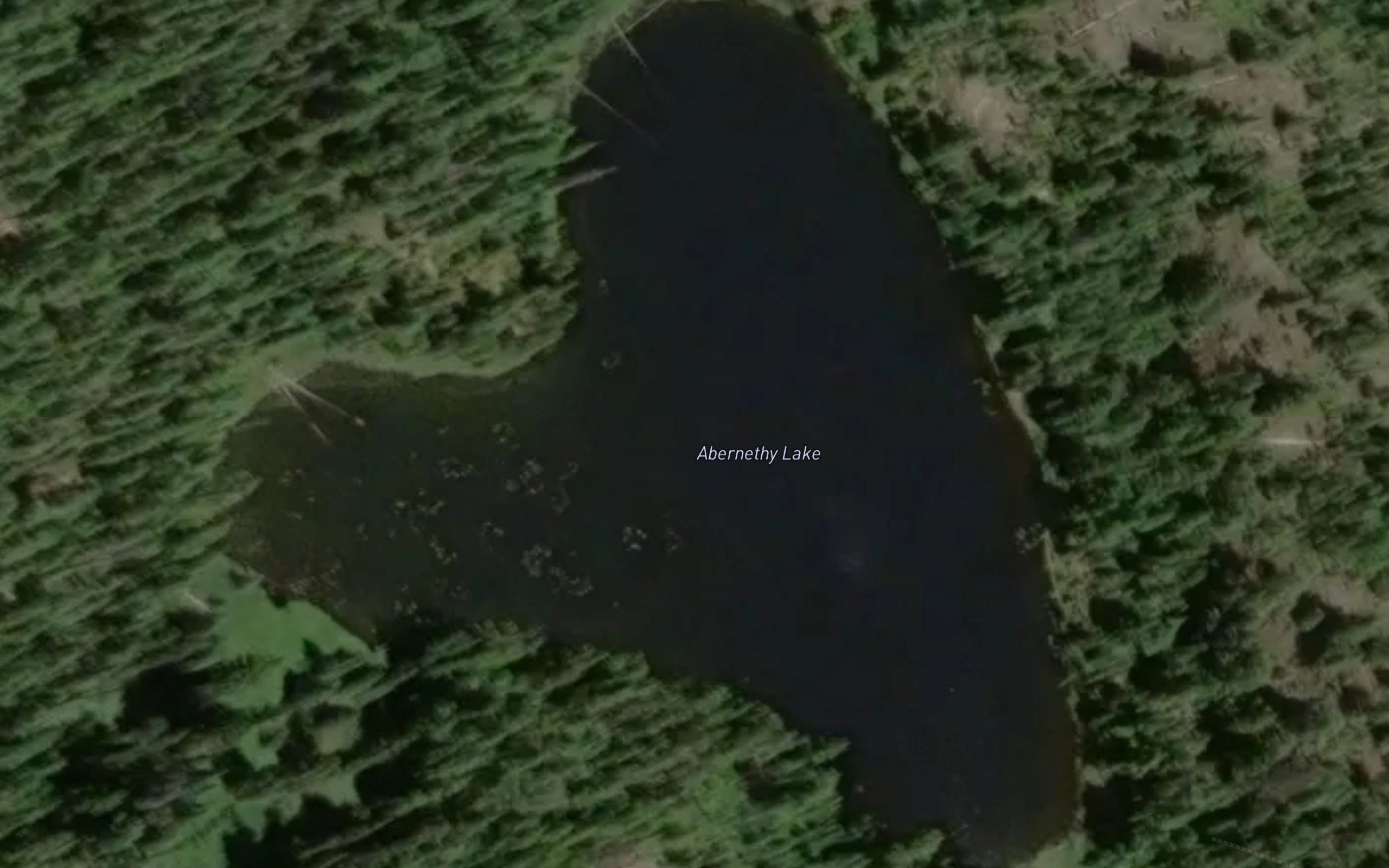 Abernethy Lake