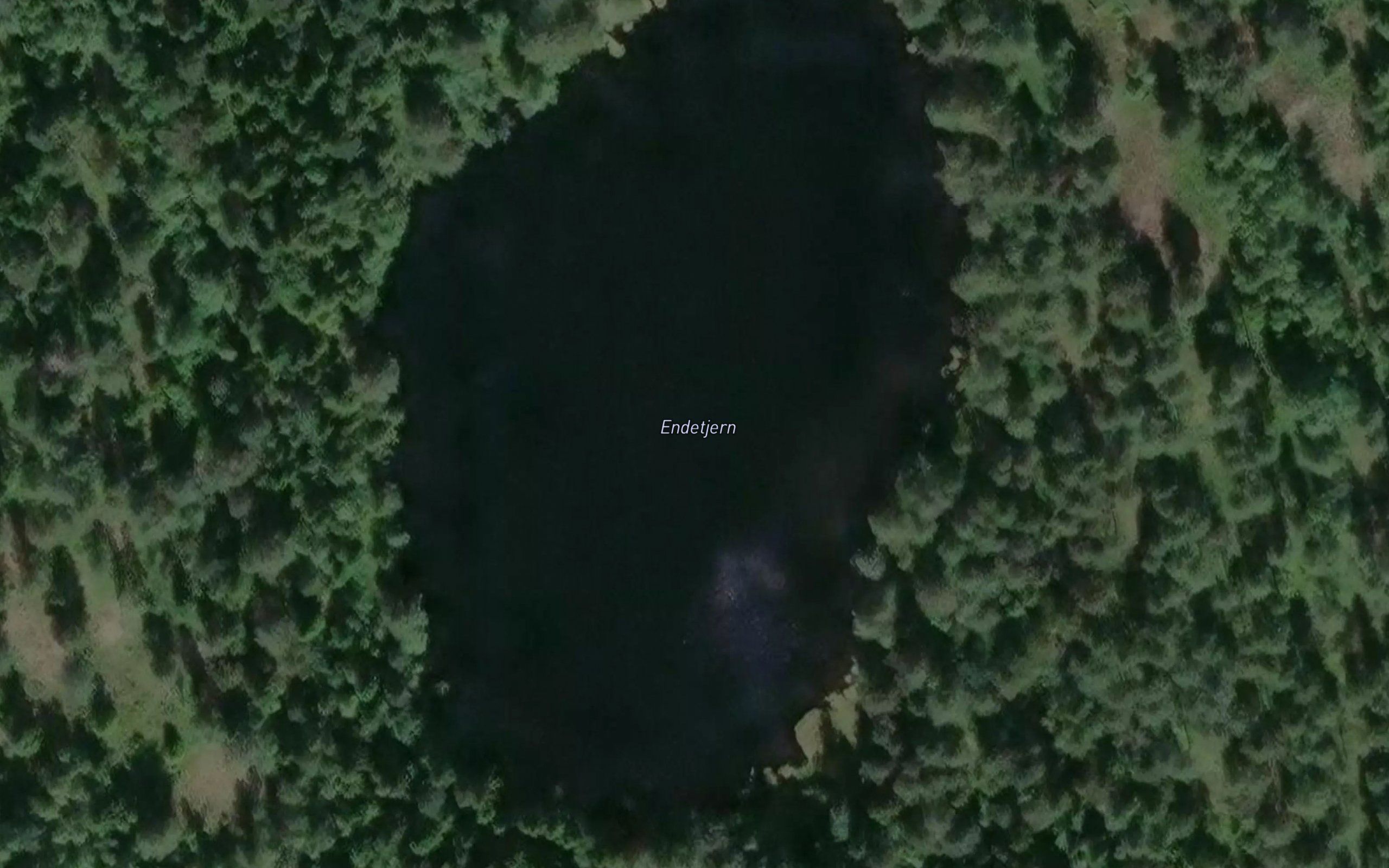 Endetjern