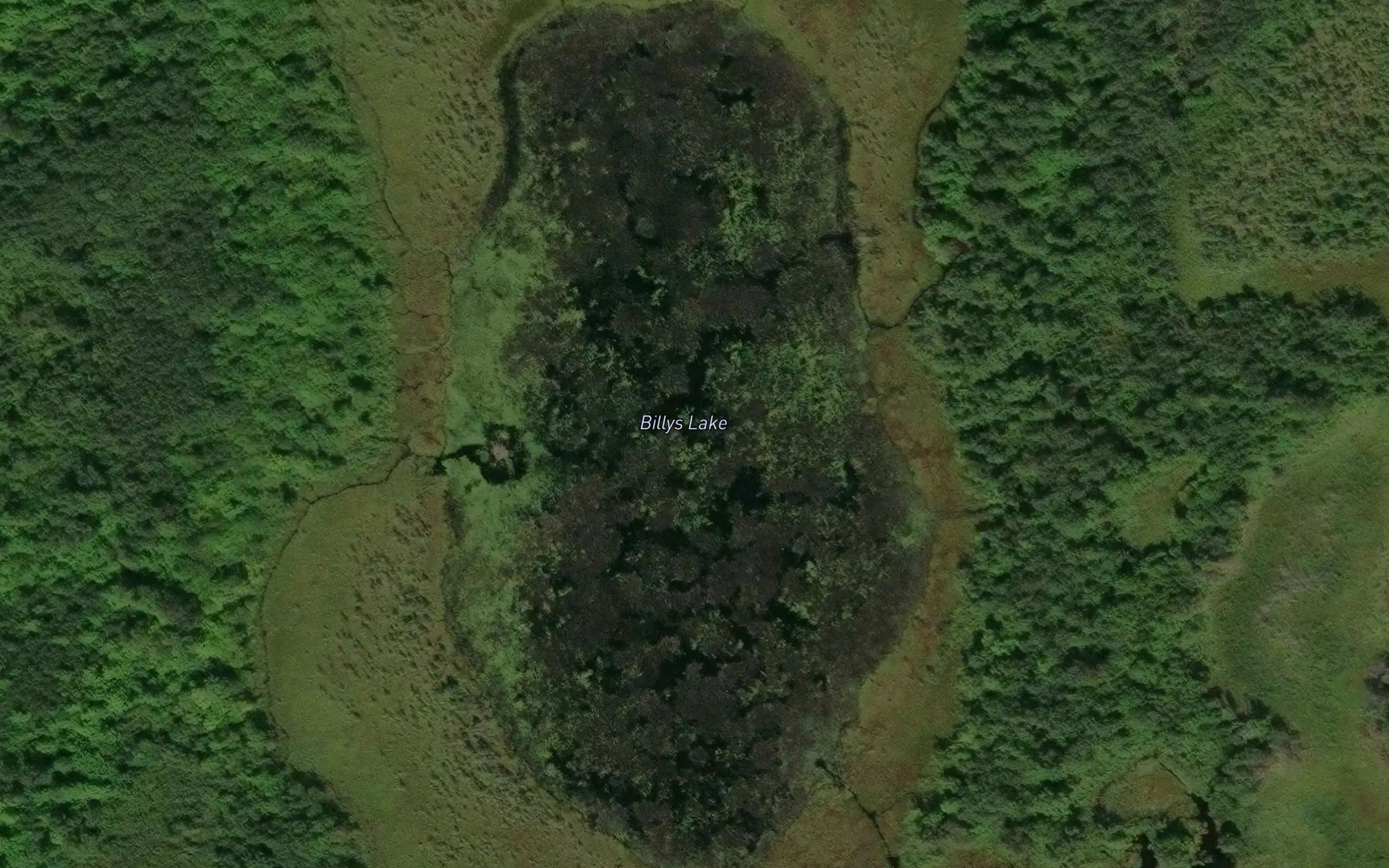 Billys Lake