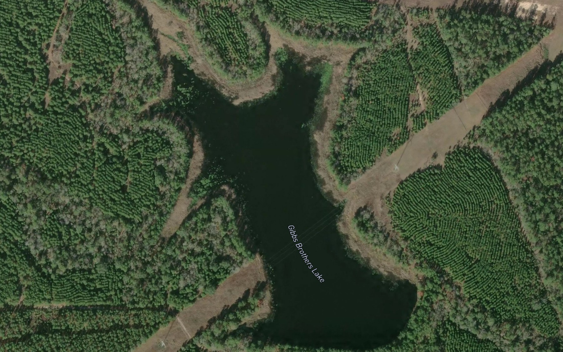 Satellite map of the Gibbs Brothers Lake