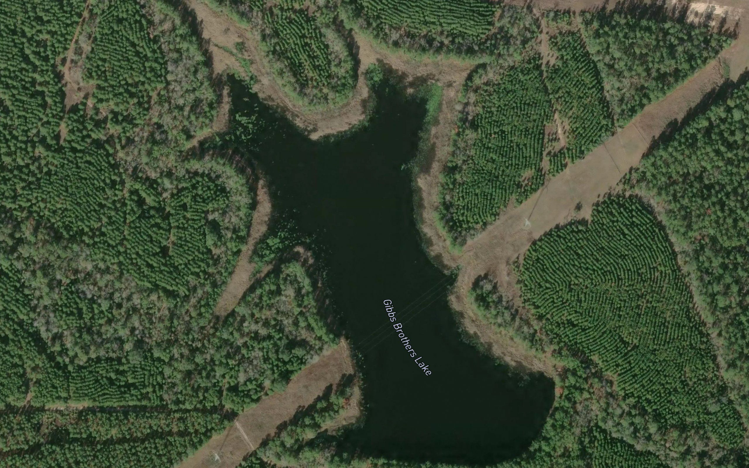 Gibbs Brothers Lake