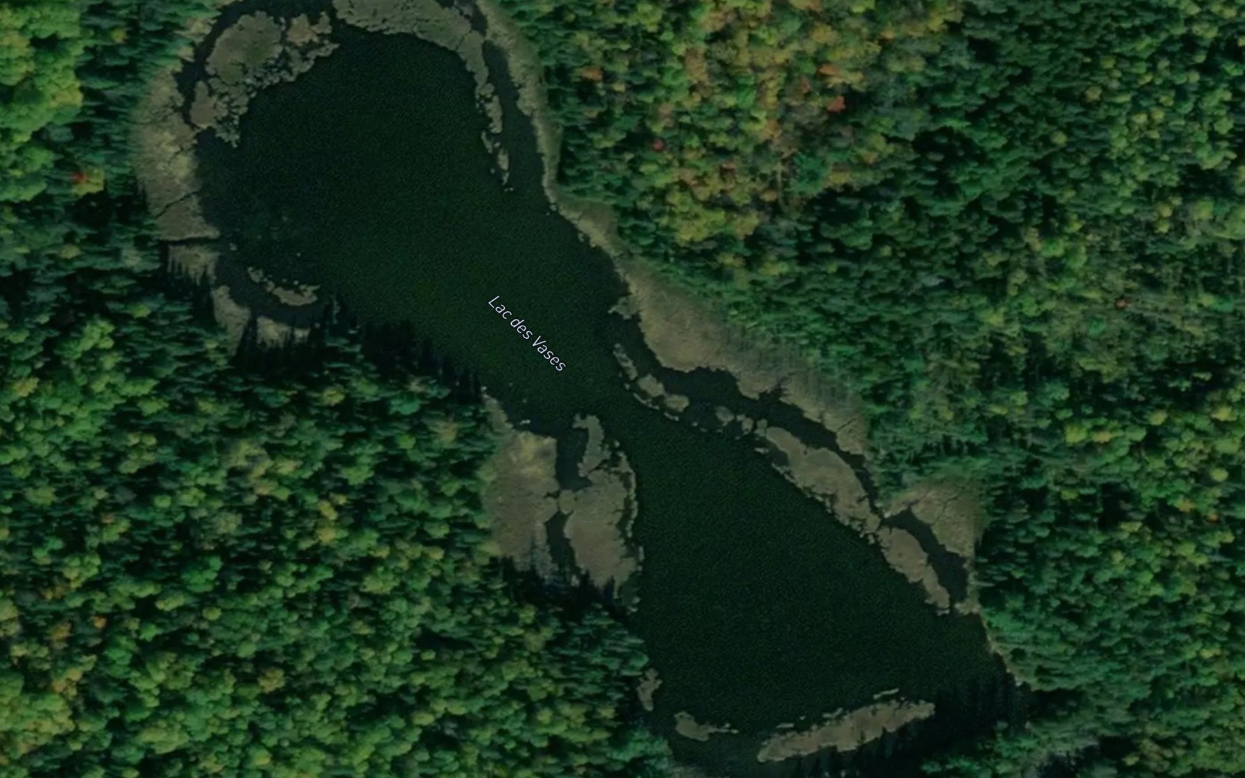 Satellite map of the Lac des Vases
