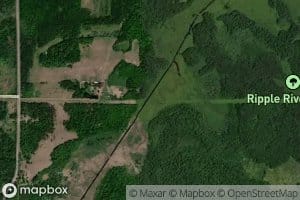 Ditch Number Thirtyfour