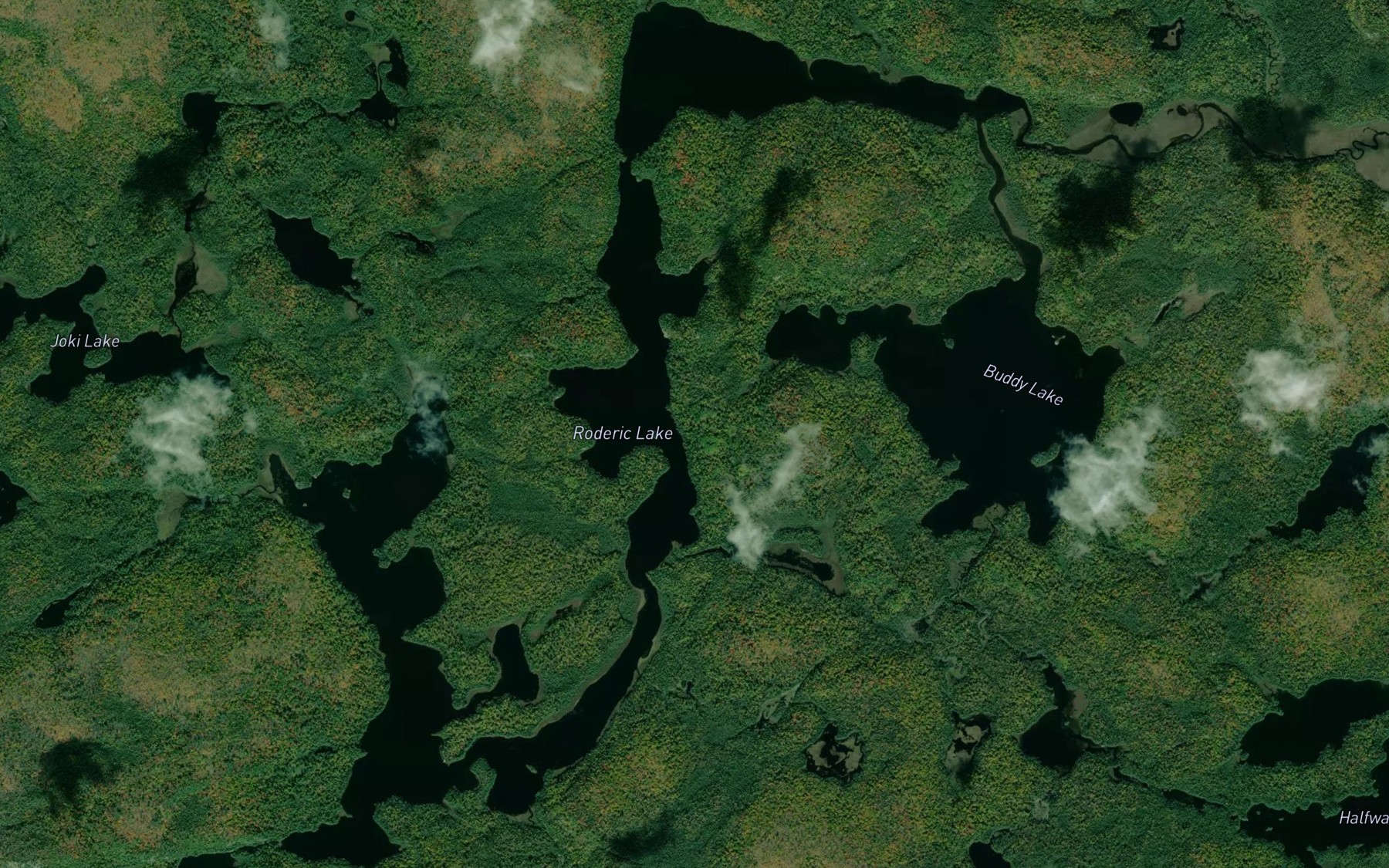 Satellite map of the Roderic Lake